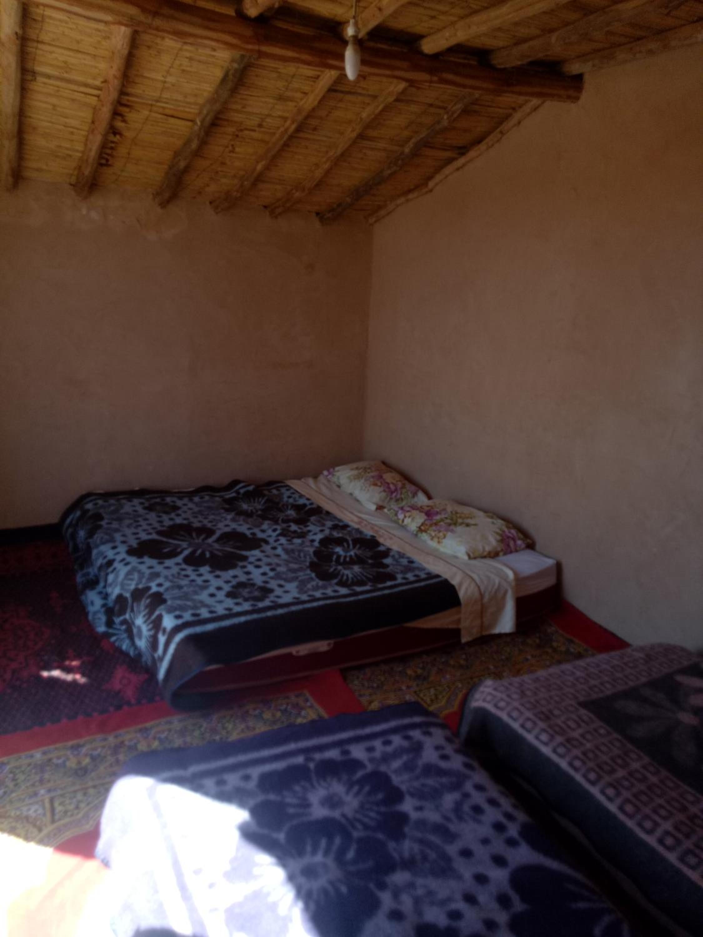 Sahara Peace camp view 4