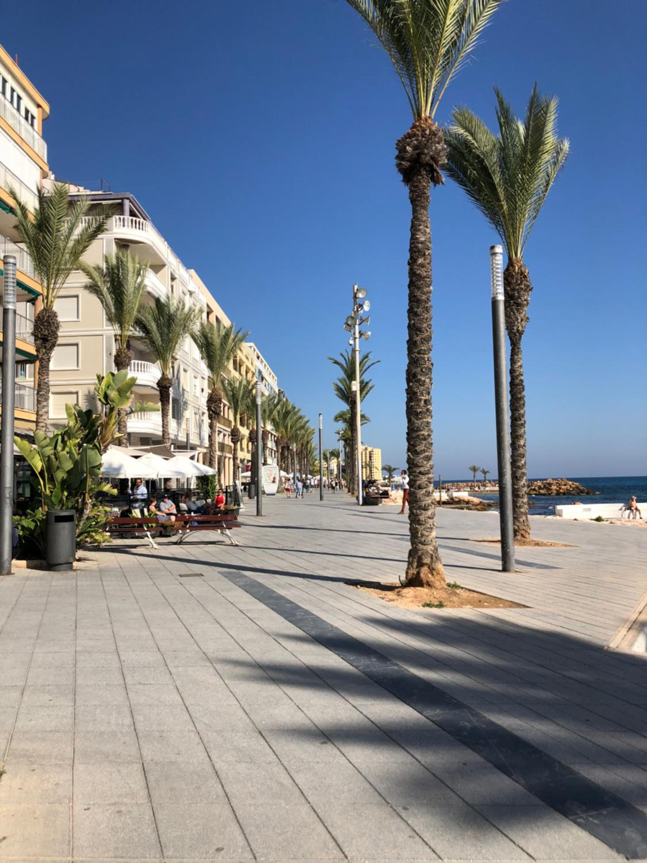 La Mata Beach - Studio - Appartement - Miramar XI - Torrevieja view 3