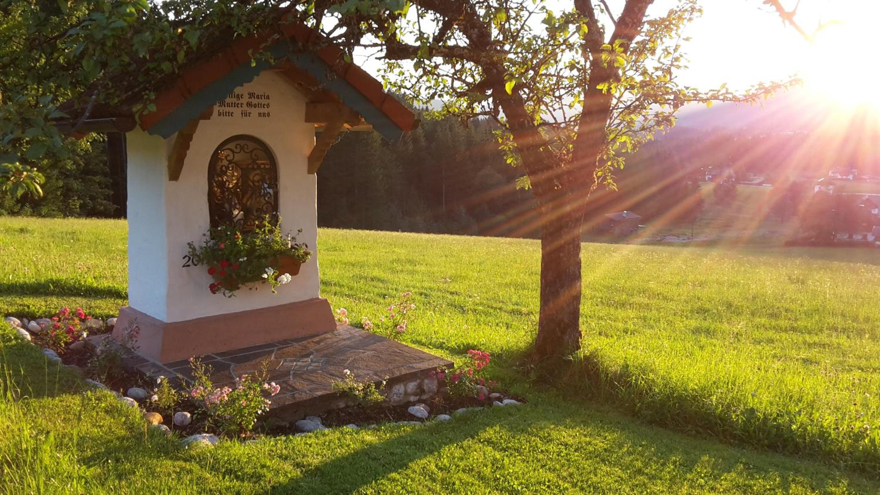Lederhof
