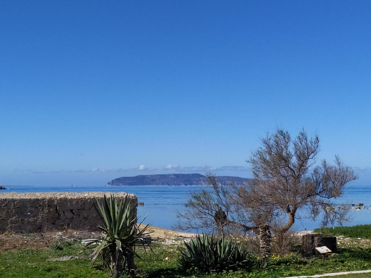 Casa Vacanze SereRosa. Tramonti indimenticabili photo 3