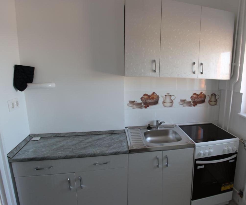 Bálint Apartman - In the heart of Miskolc view 4