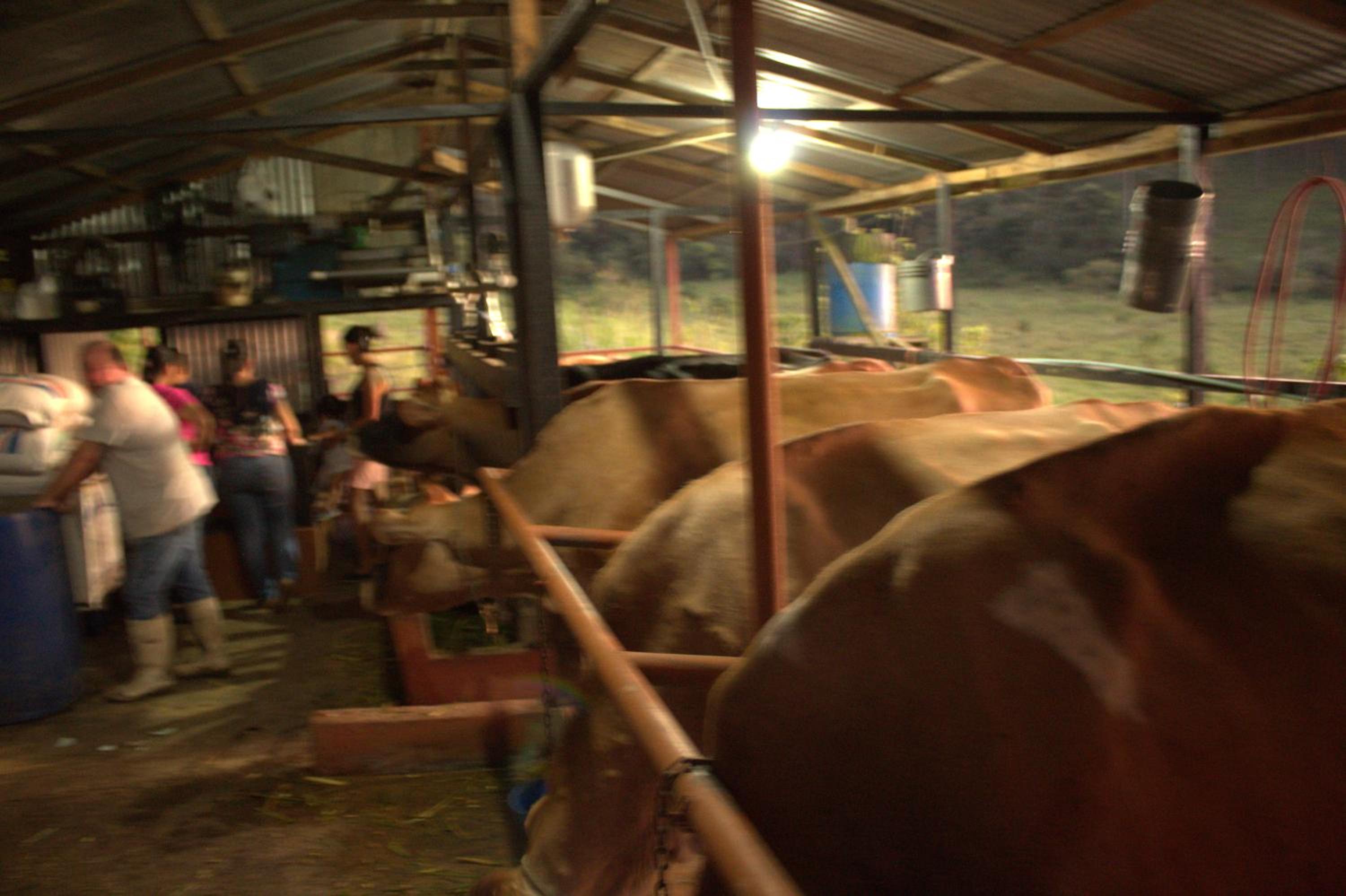 Eco Granja Don Lolo