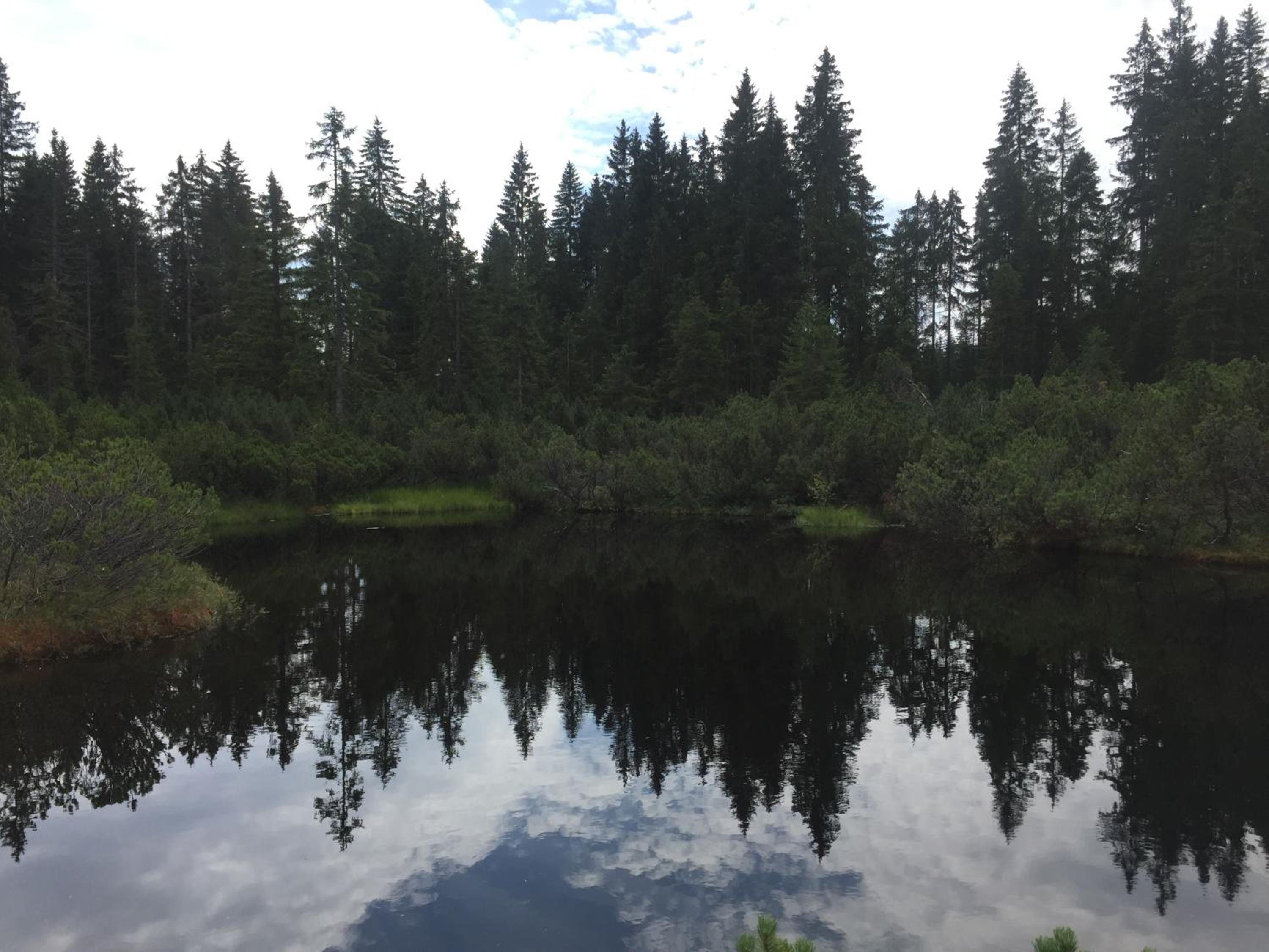 Photo 43