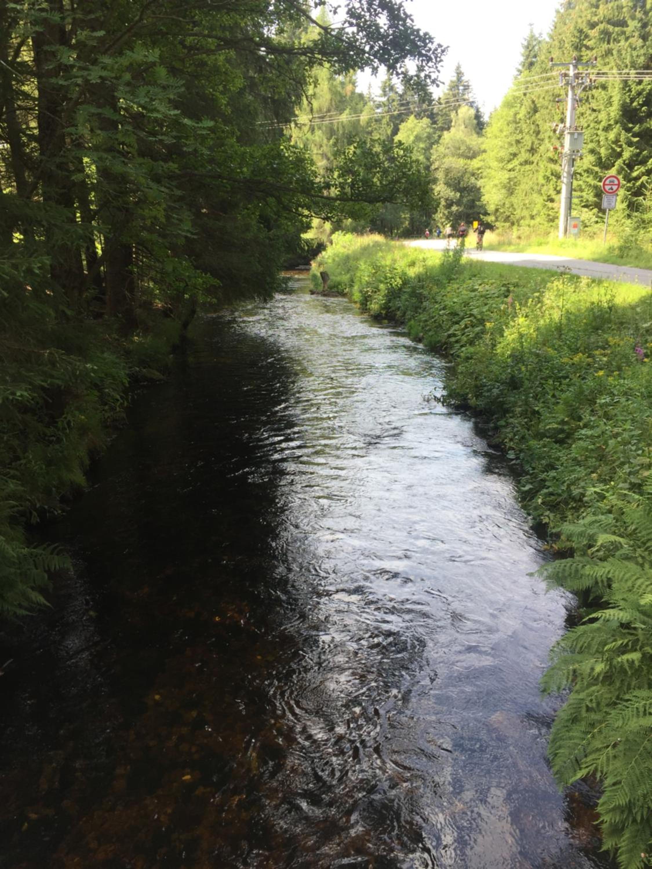 Photo 44