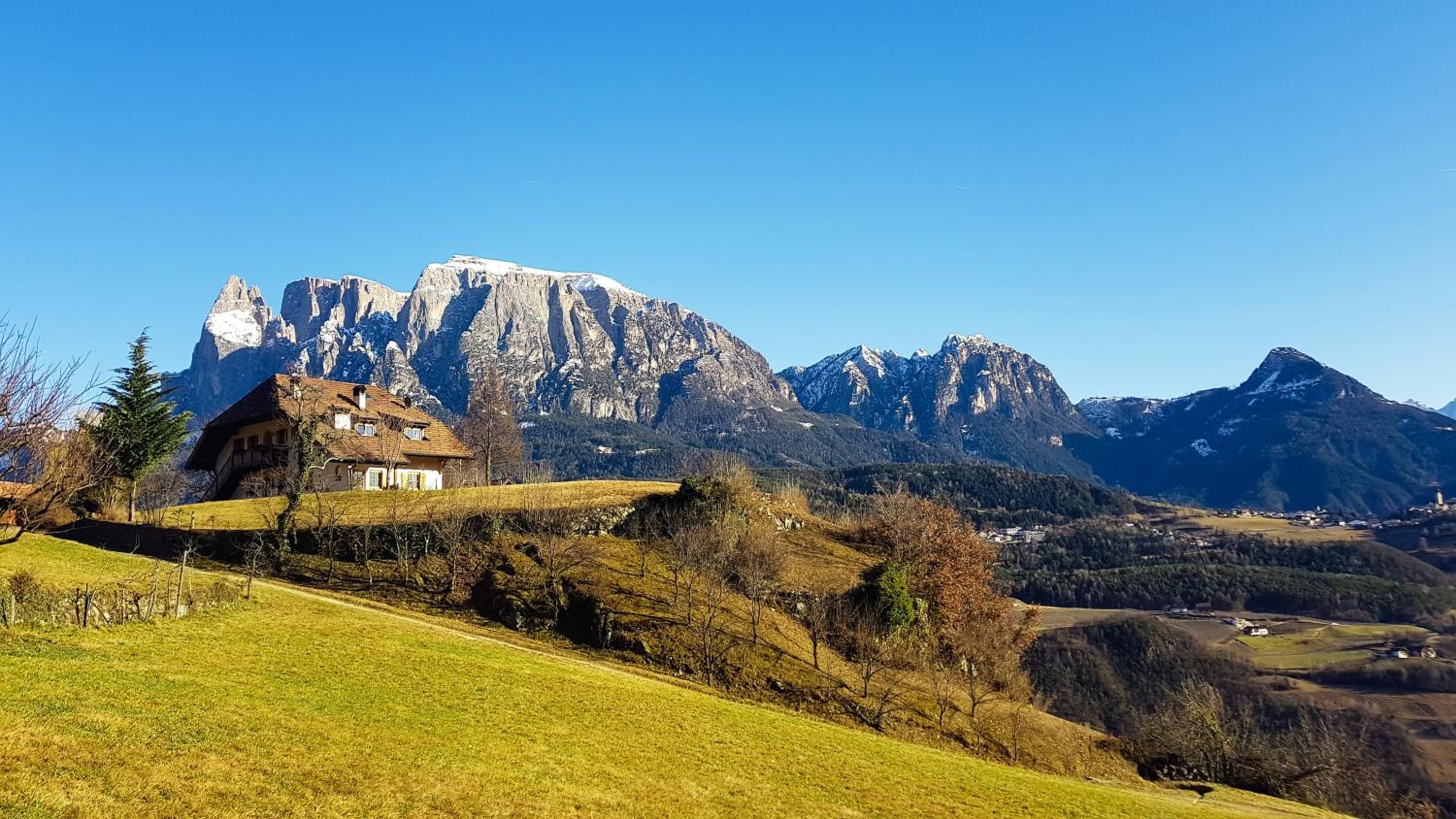 Birbamergut