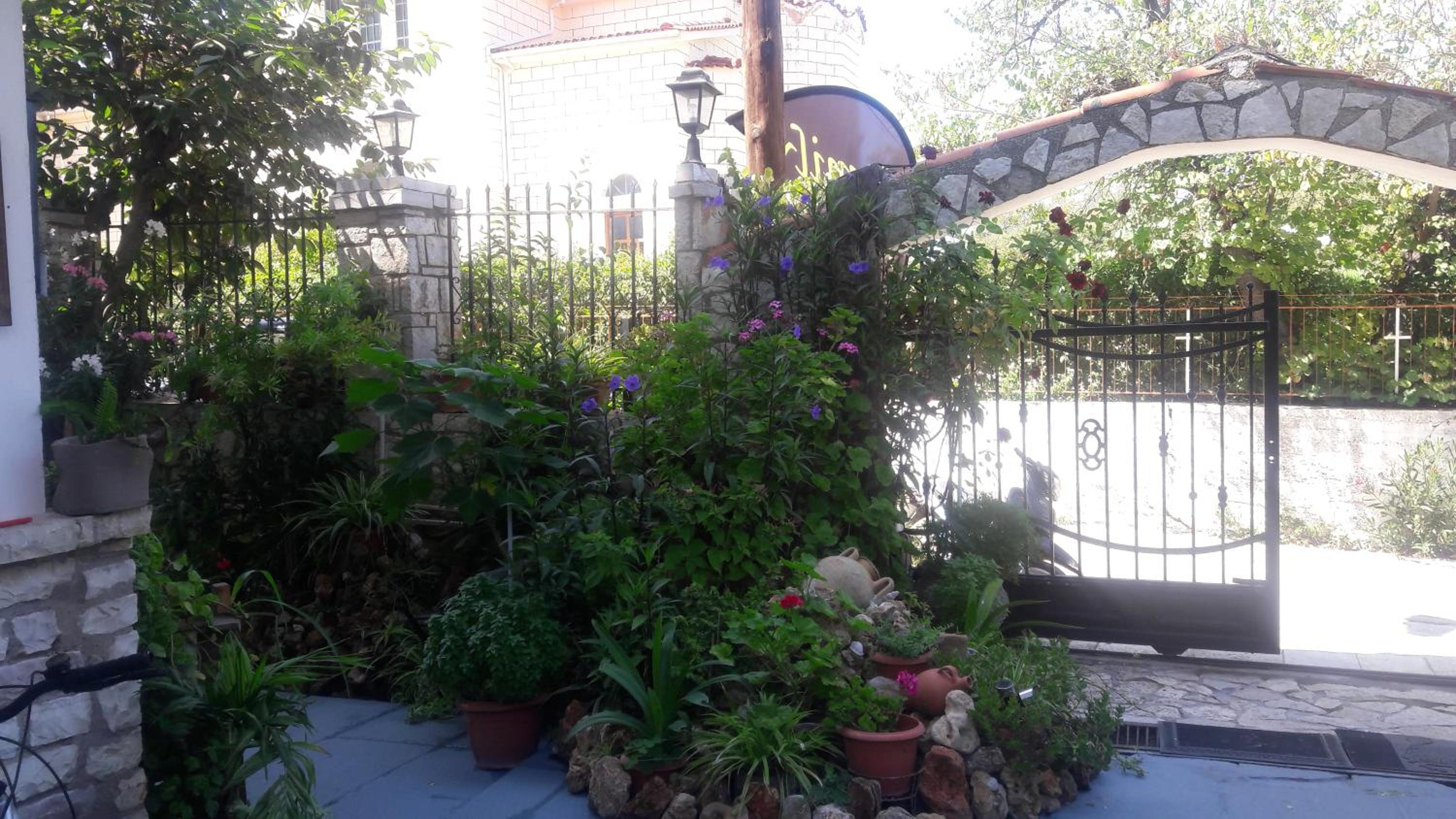 Photo 21