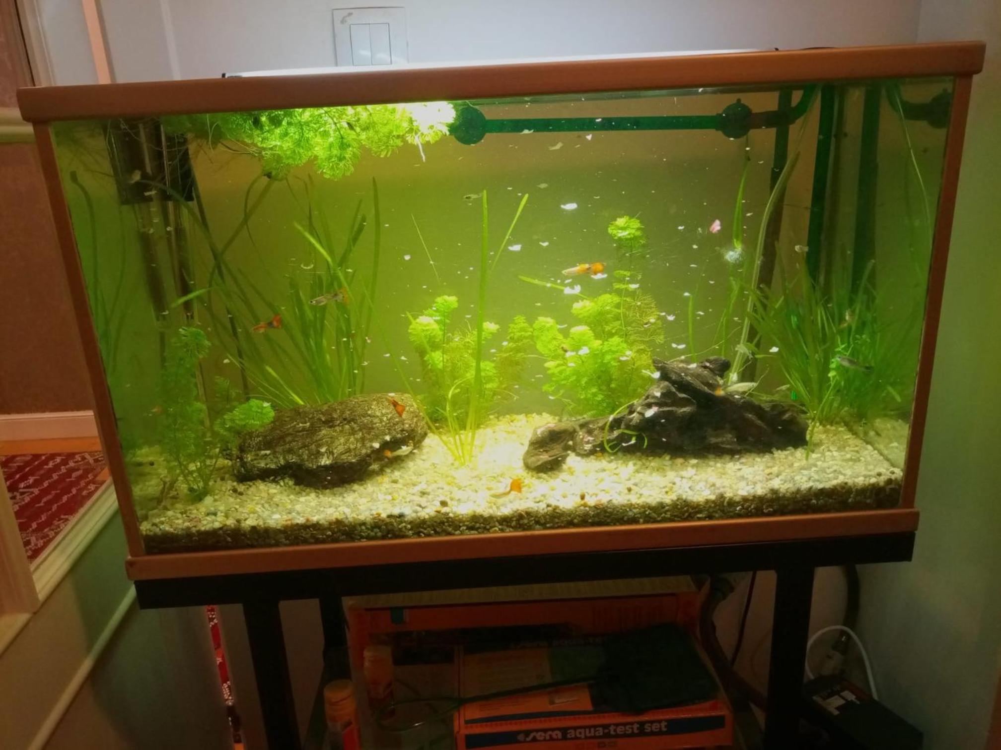 Duplex lujo Leioa