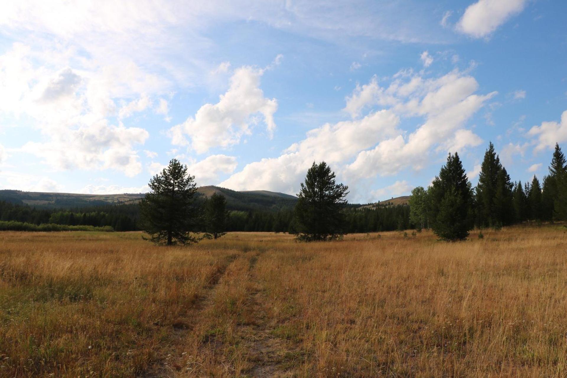 Sugar Loaf Lodge & Cabins