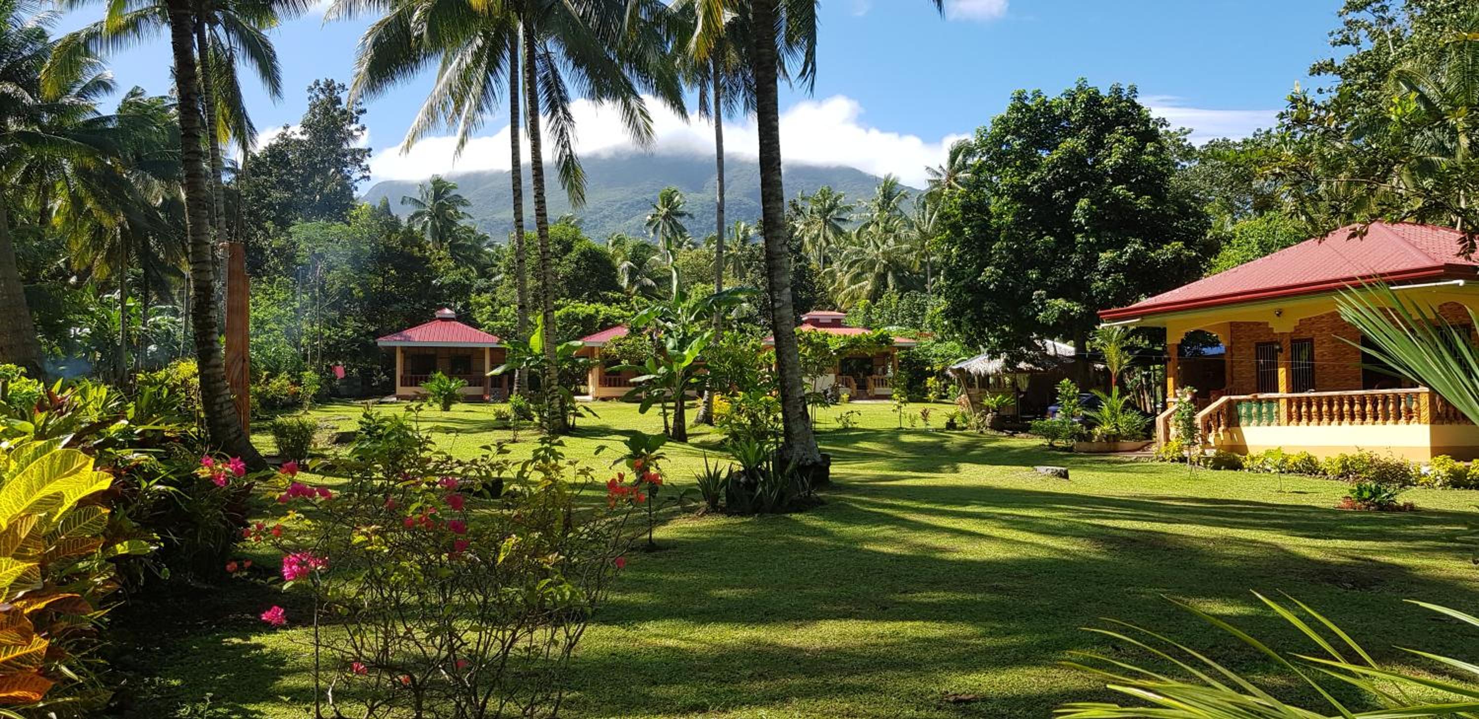 Paco's Garden Home Stay view 3