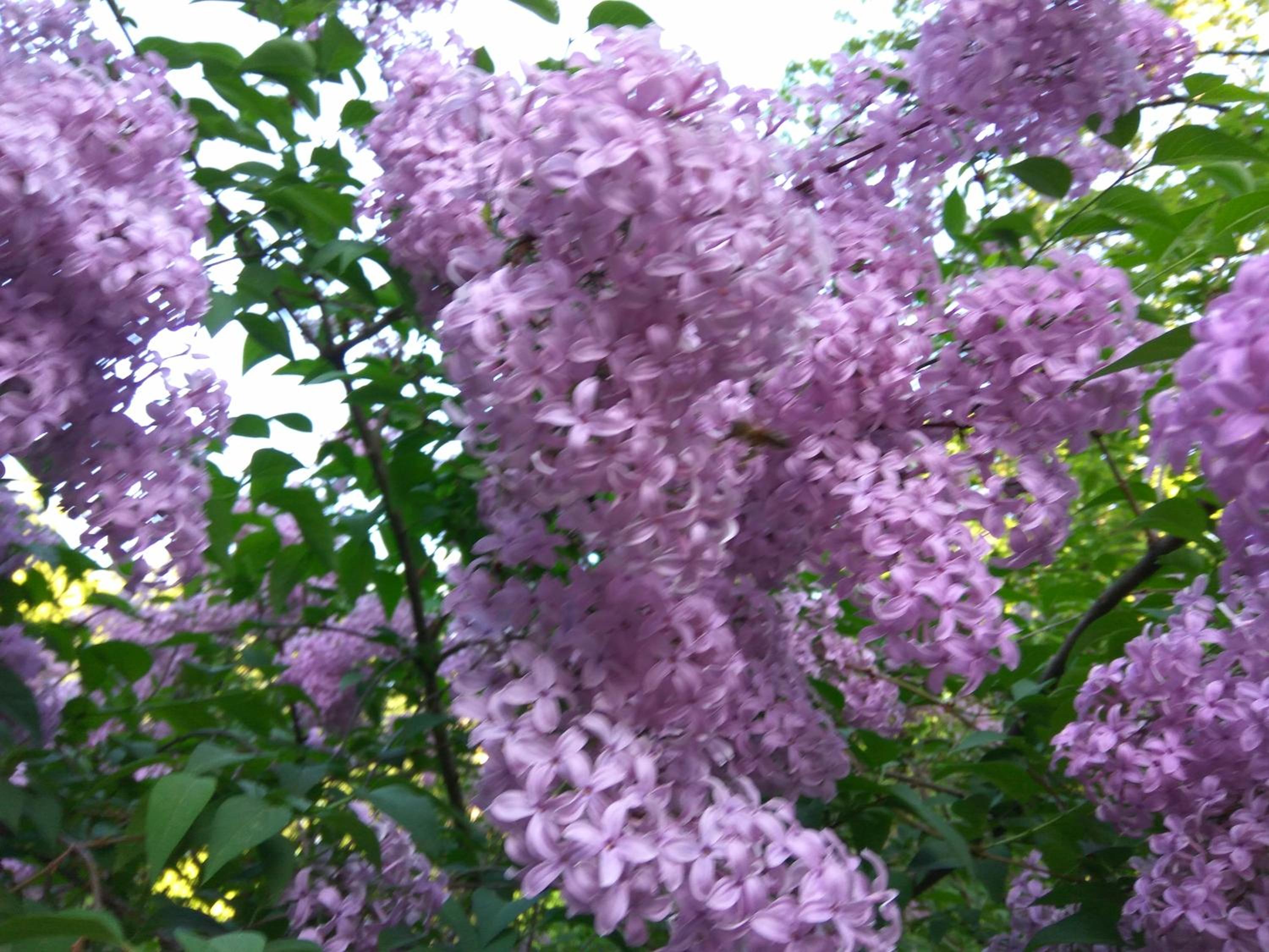 Photo 32