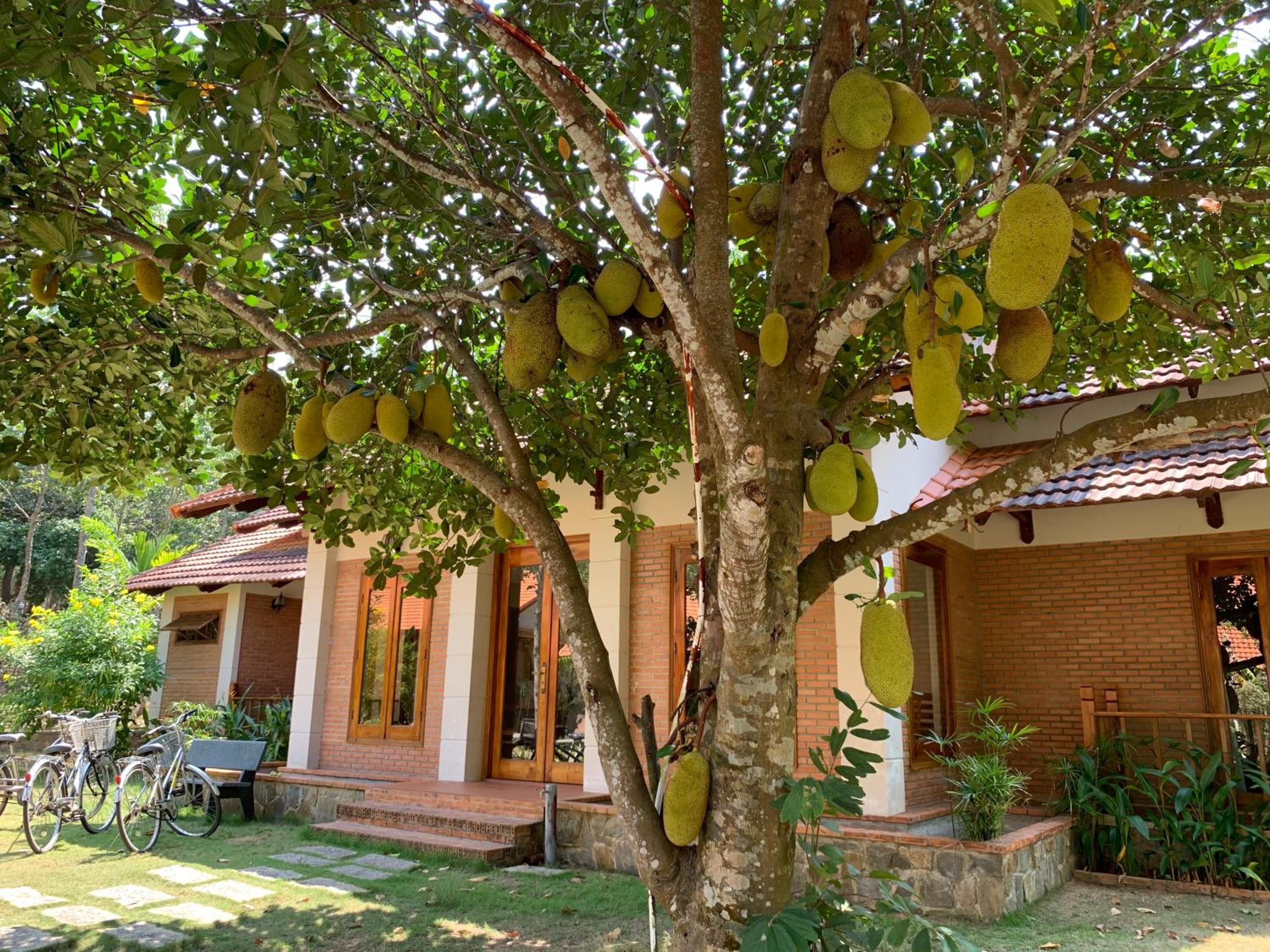 The Garden House Phu Quoc Resort