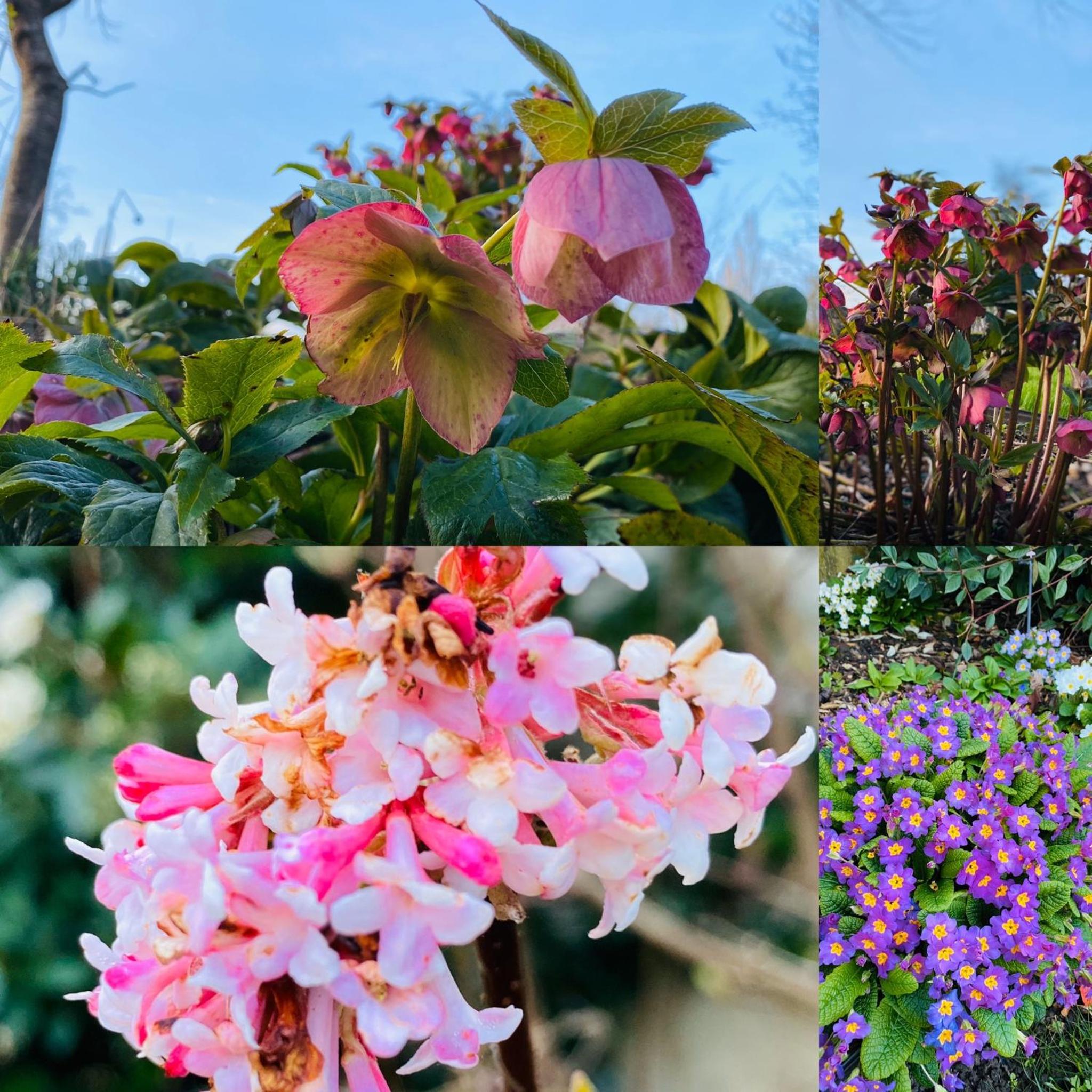 Les Couleurs du Verger