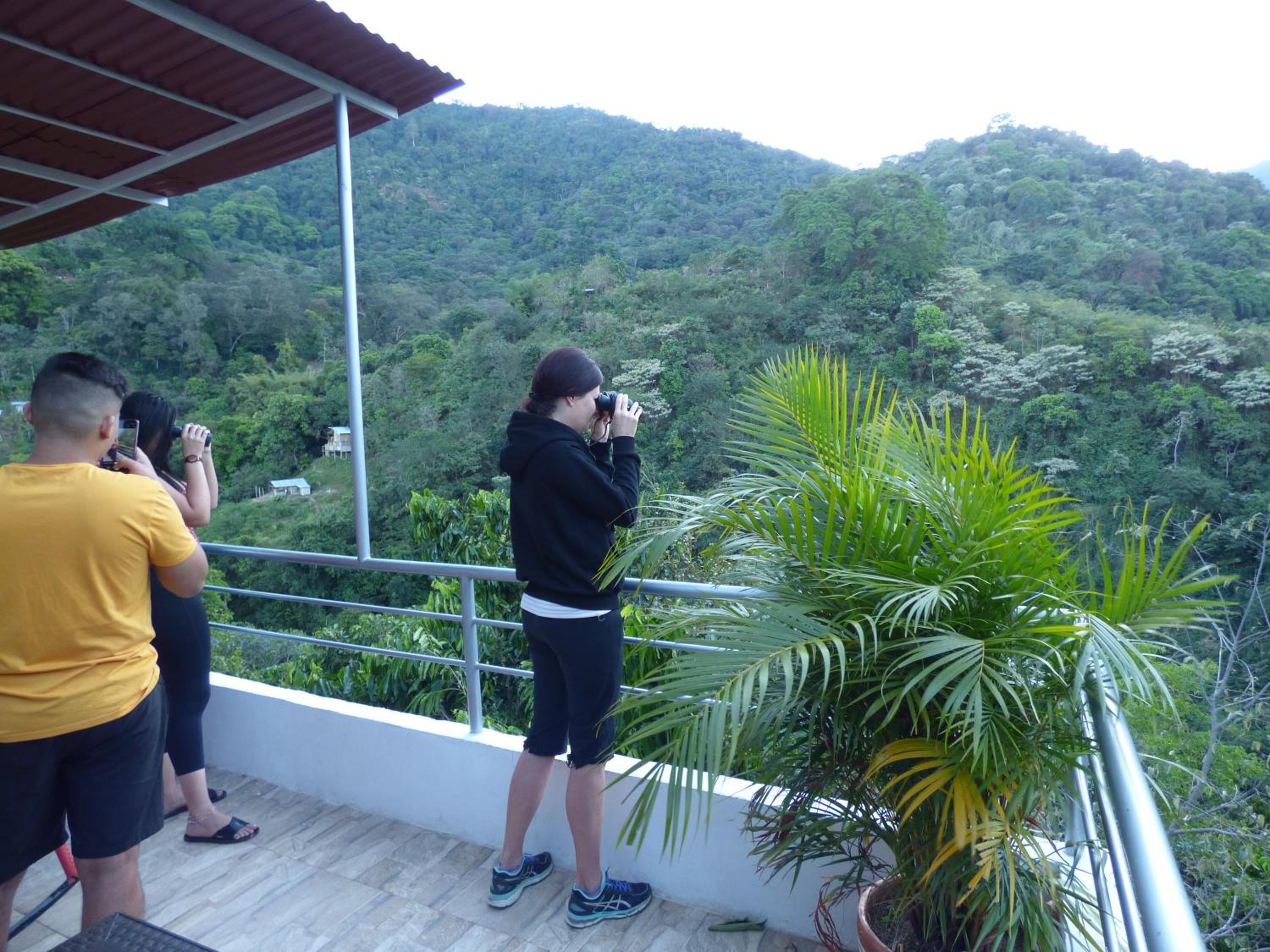 Hostal Alto de la Montaña
