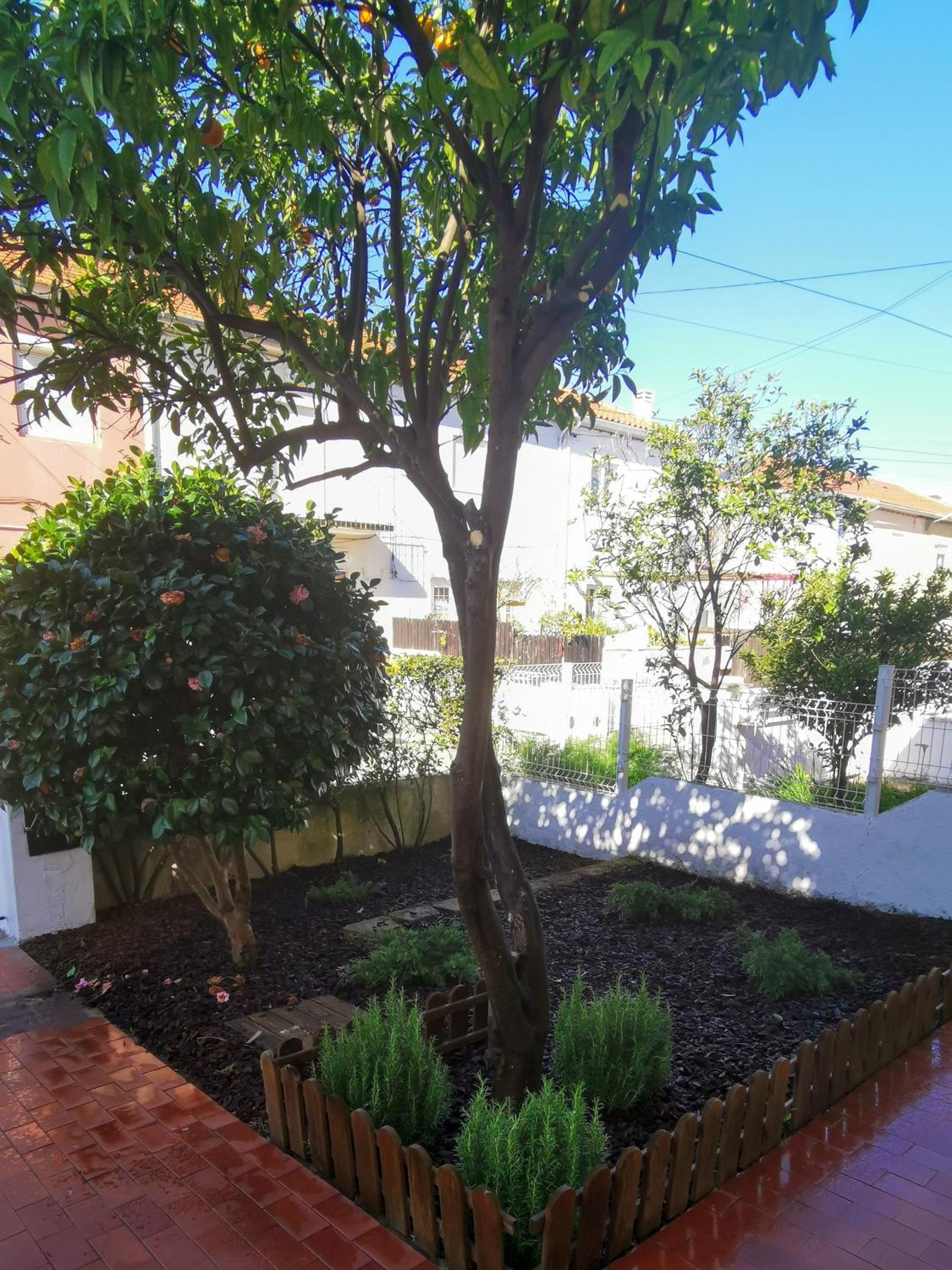 Villa Coimbra - Casa Inteira view 3