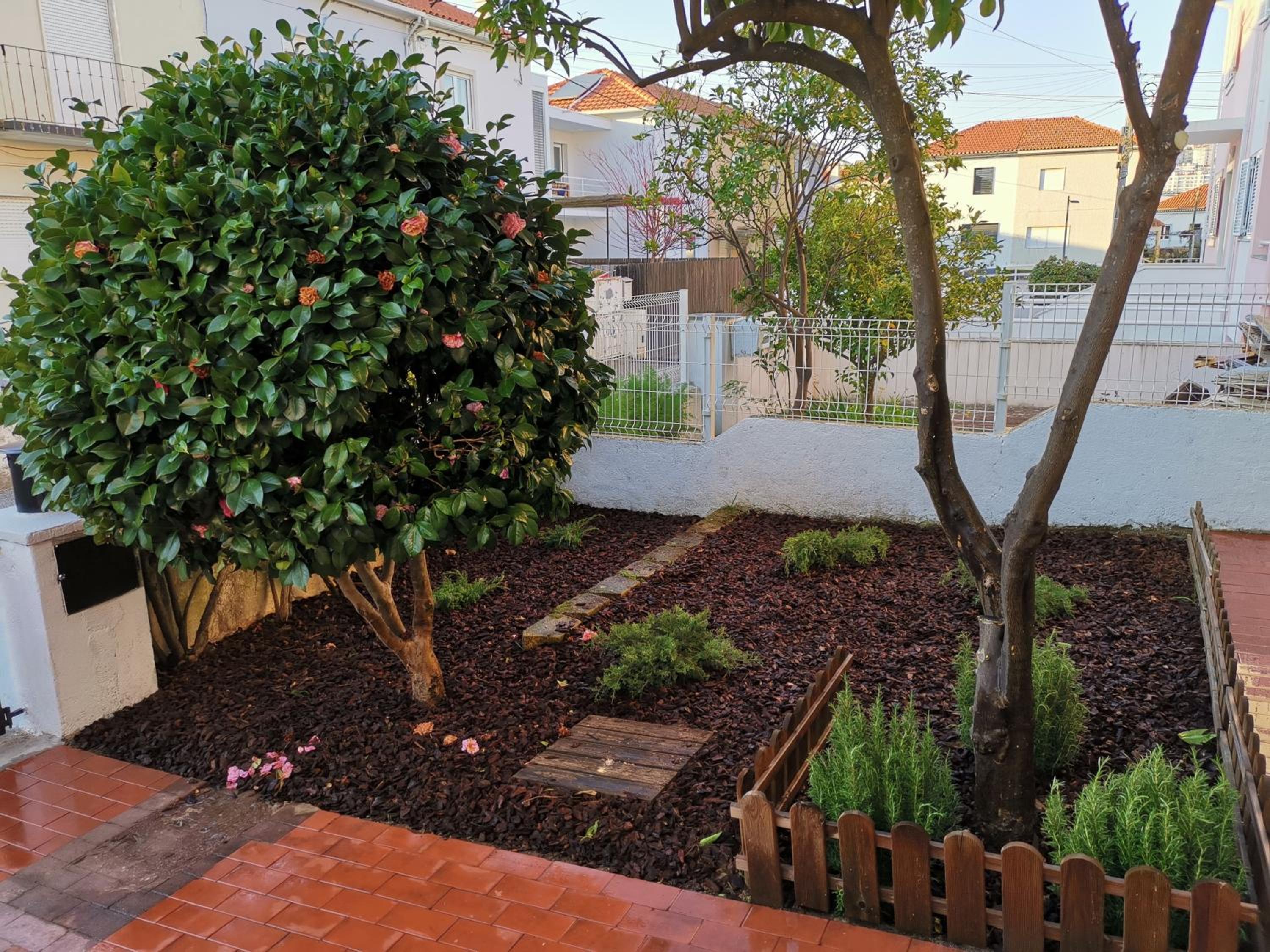 Villa Coimbra - Casa Inteira view 5