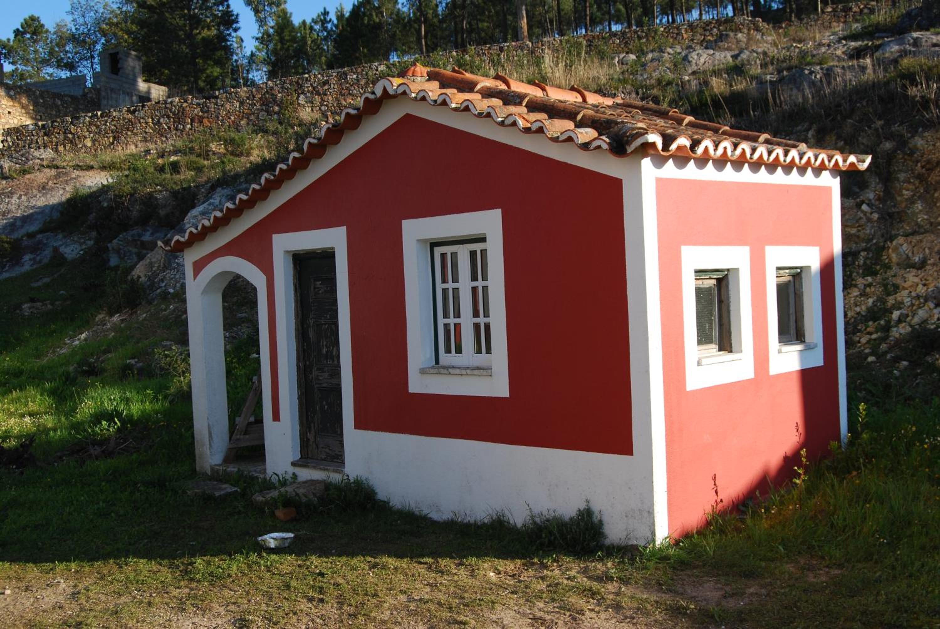 Photo 8