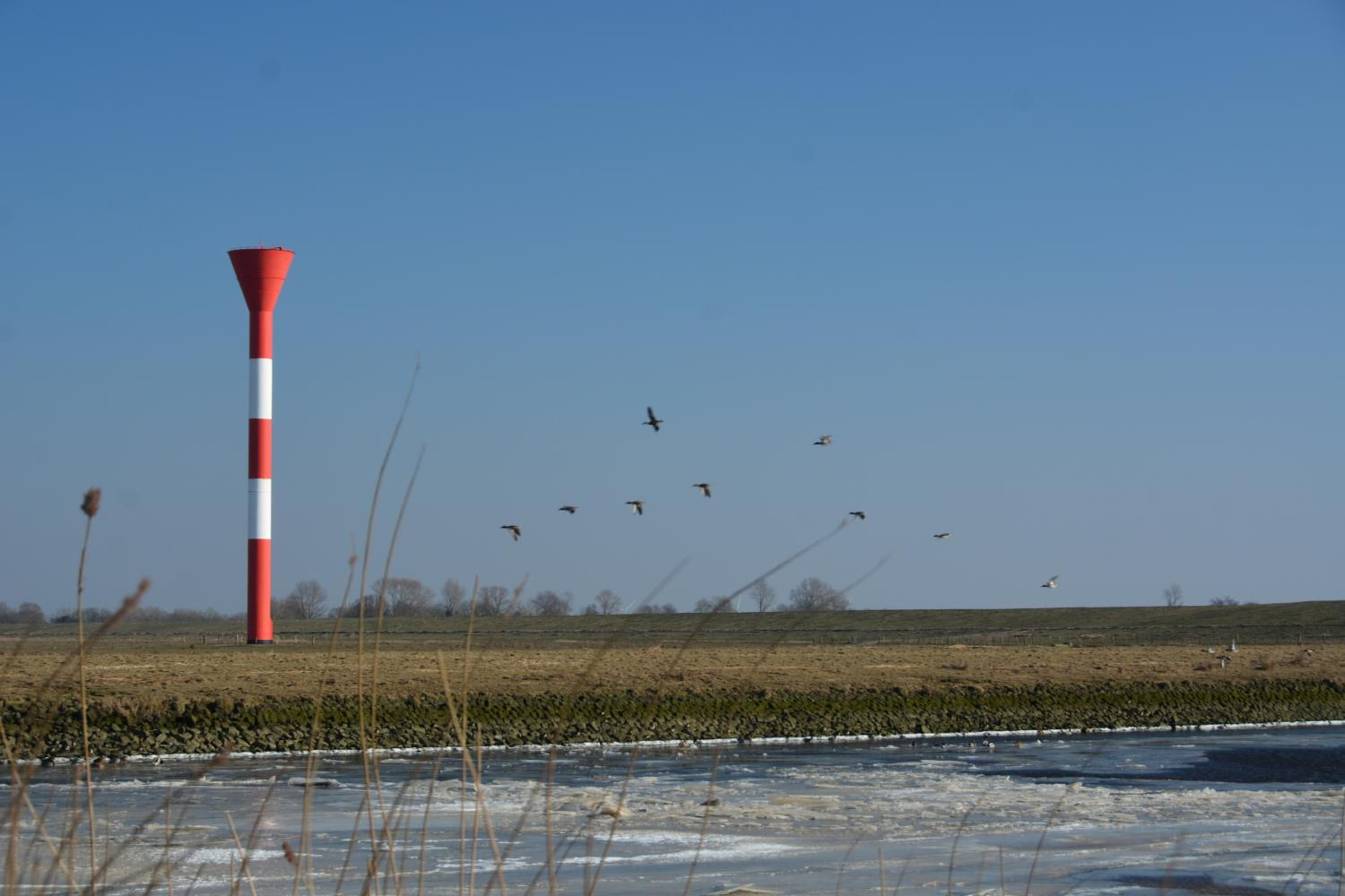 Ferienhaus Scholien