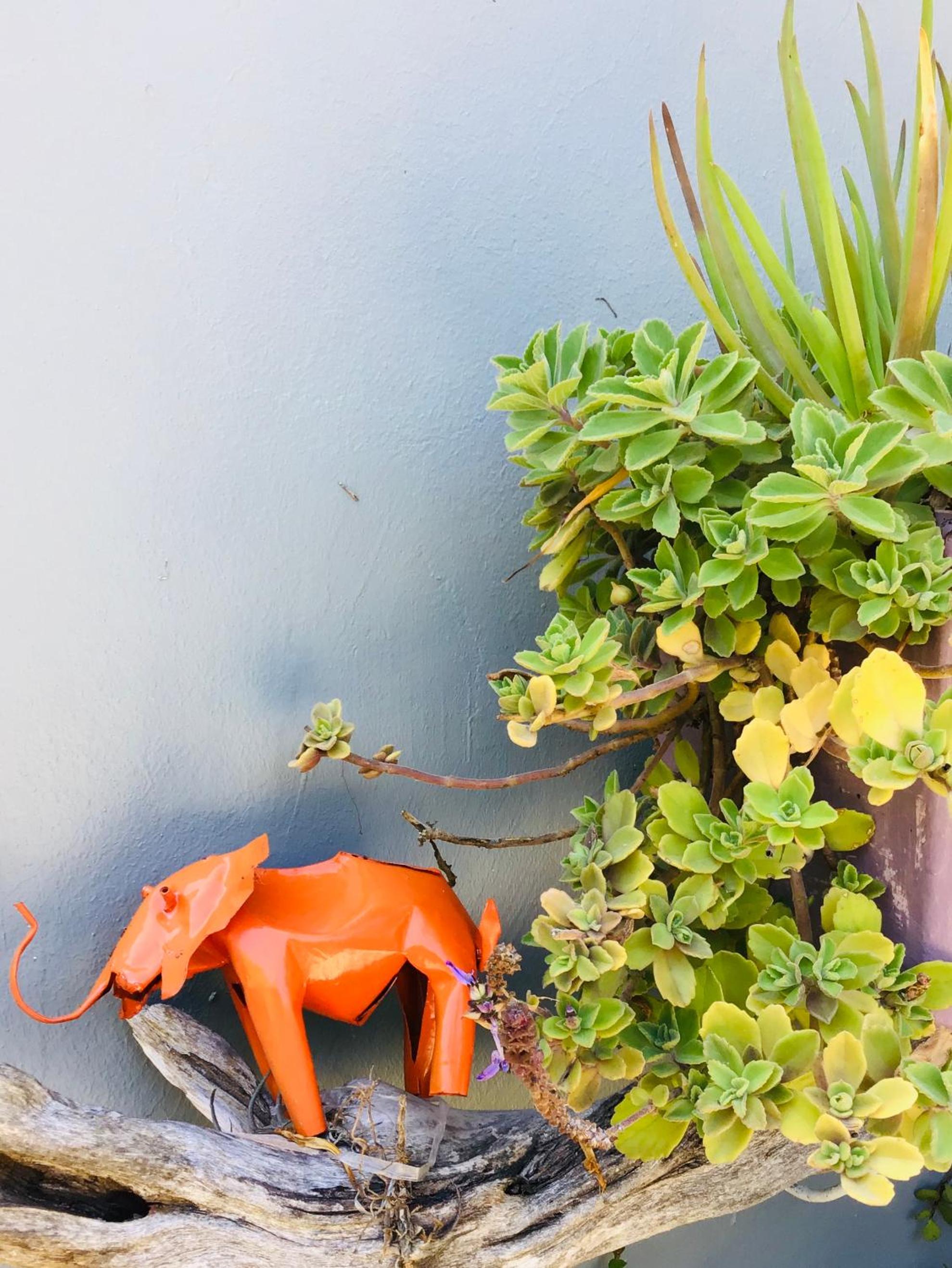 Funky cottage — photo 13