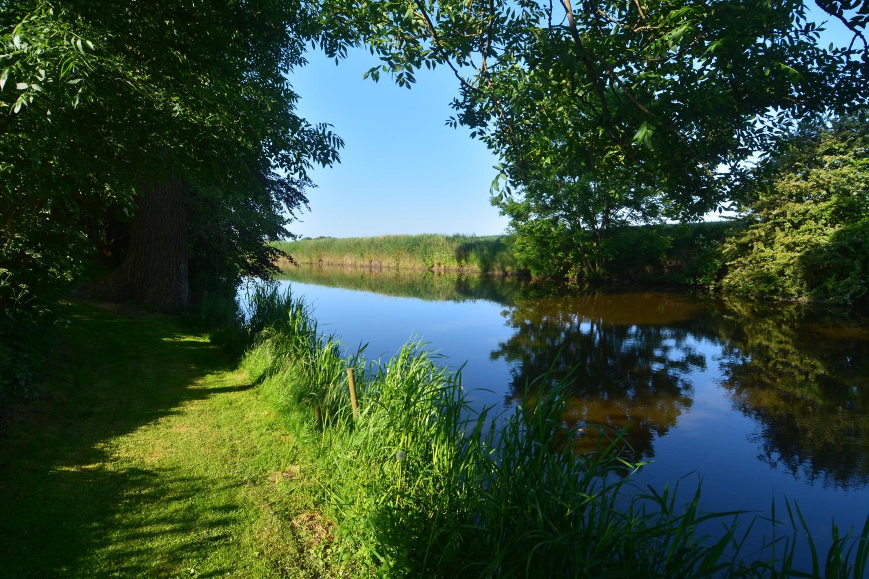 Ferienhaus Scholien