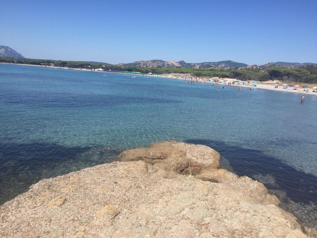 San Teodoro da Zio Mimmo photo 2