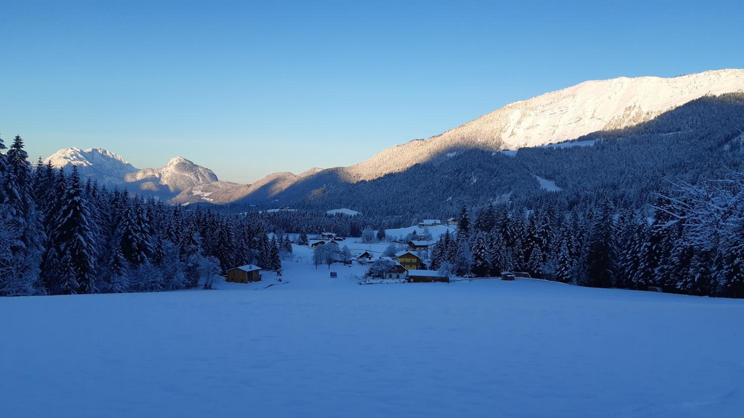 Lederhof
