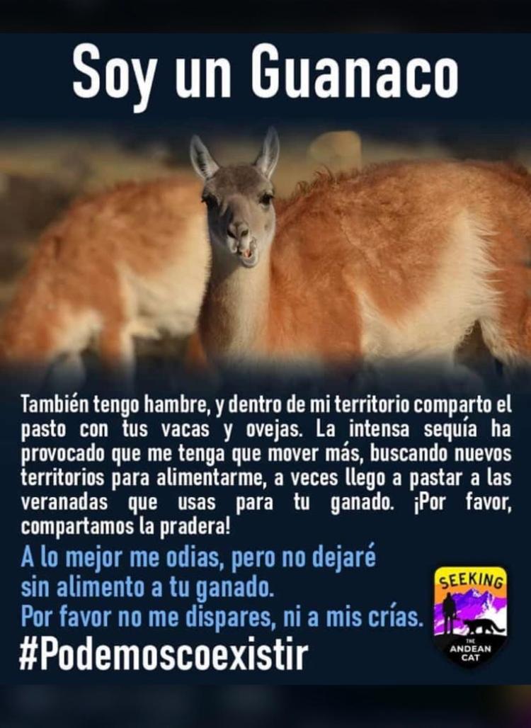 Cabaña LA EMILIA Uspallata Mdz