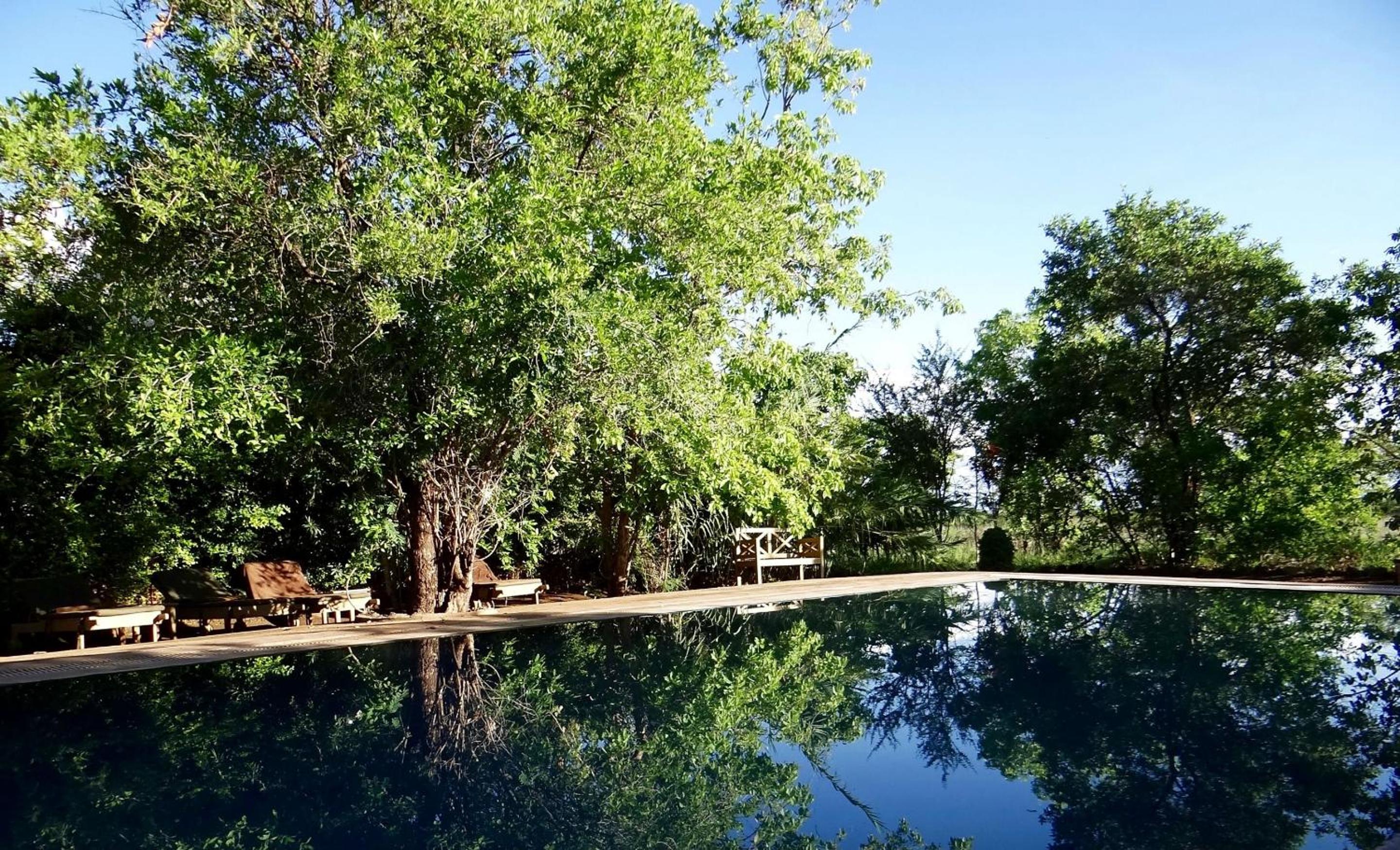 Ikweta Safari Camp
