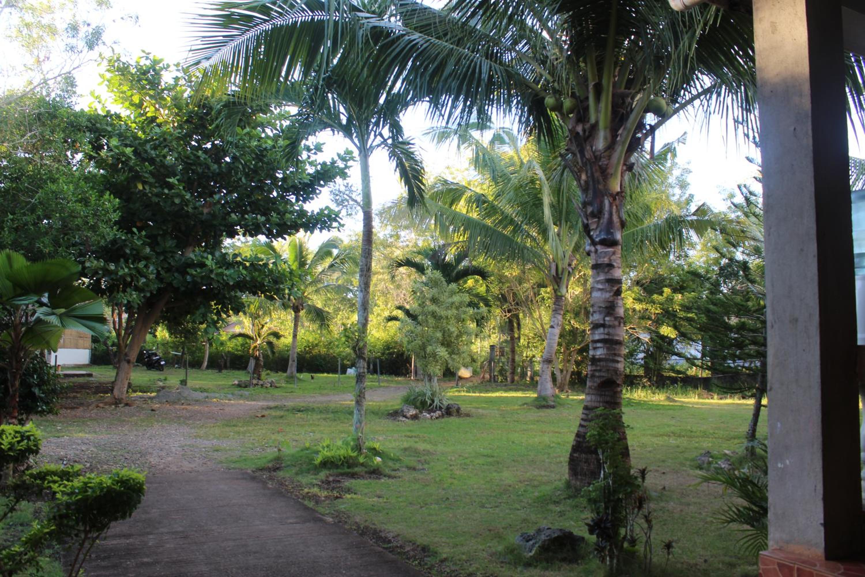 Walkerz Inn view 4