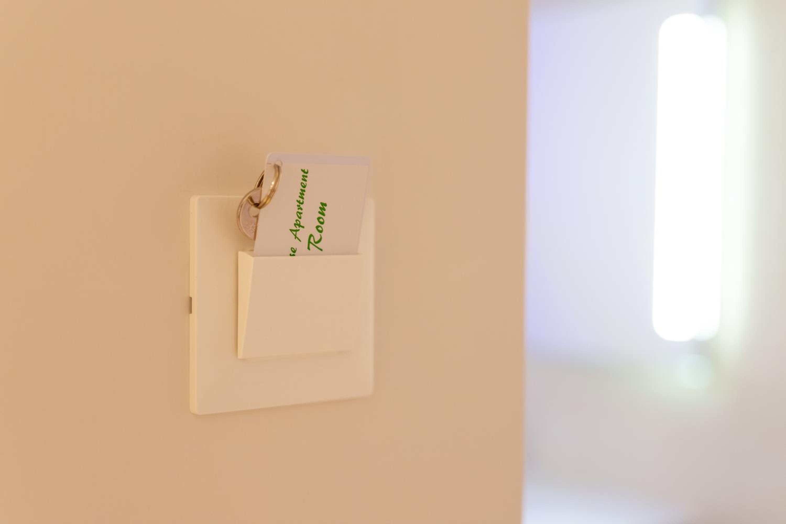 Toledo Rose