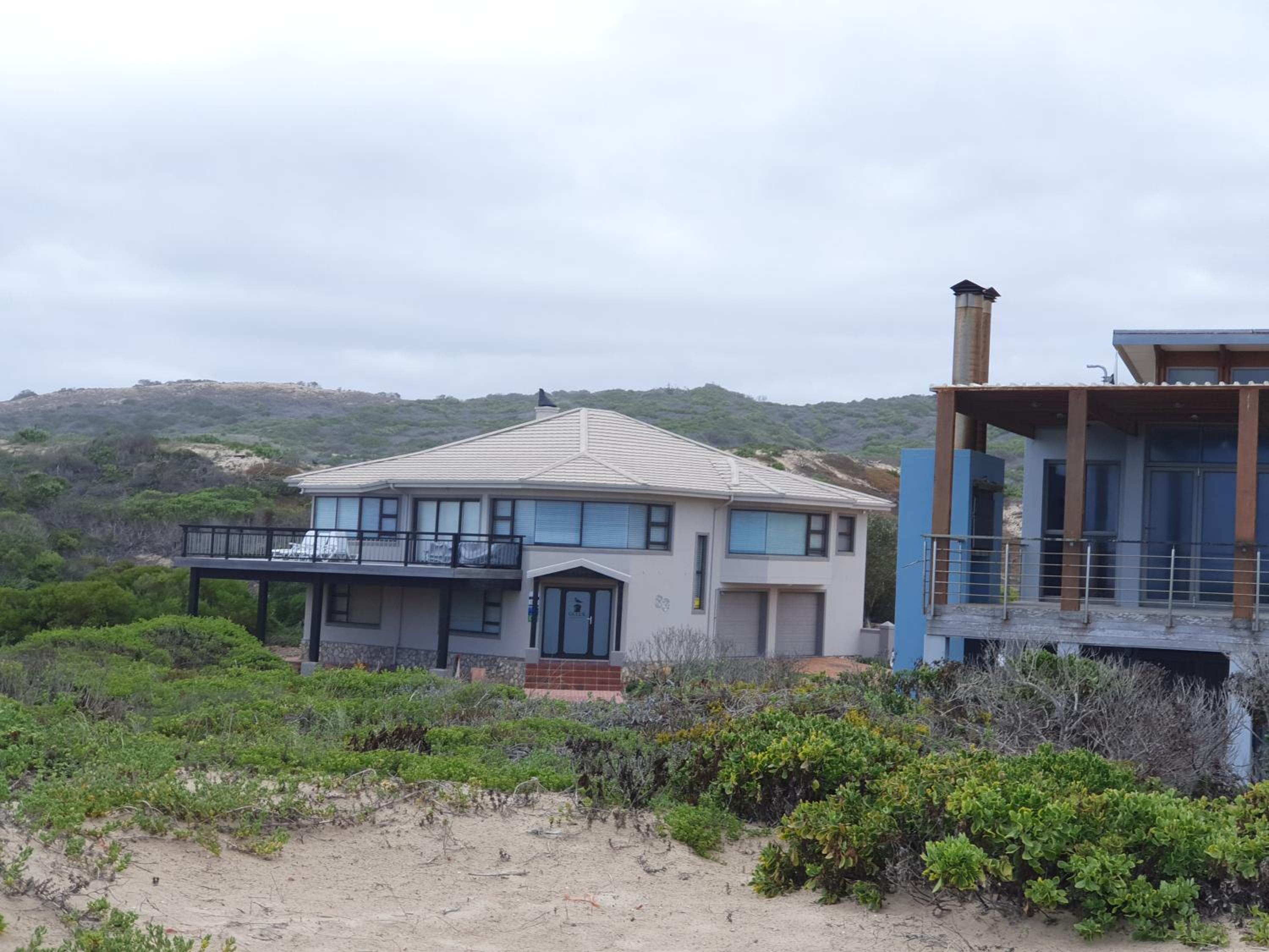 Gull's Stilbaai
