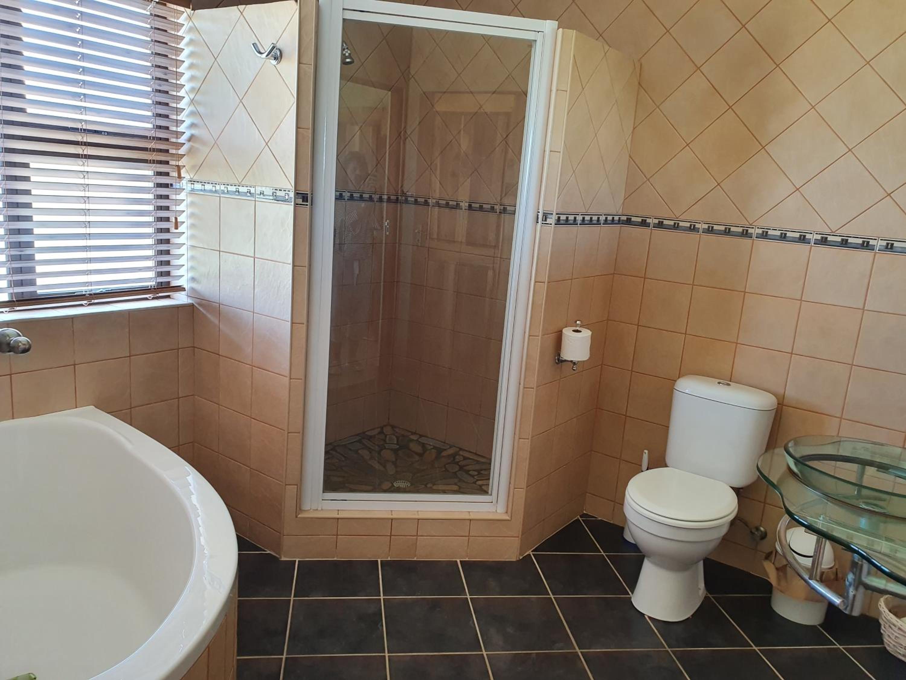 Gull's Stilbaai