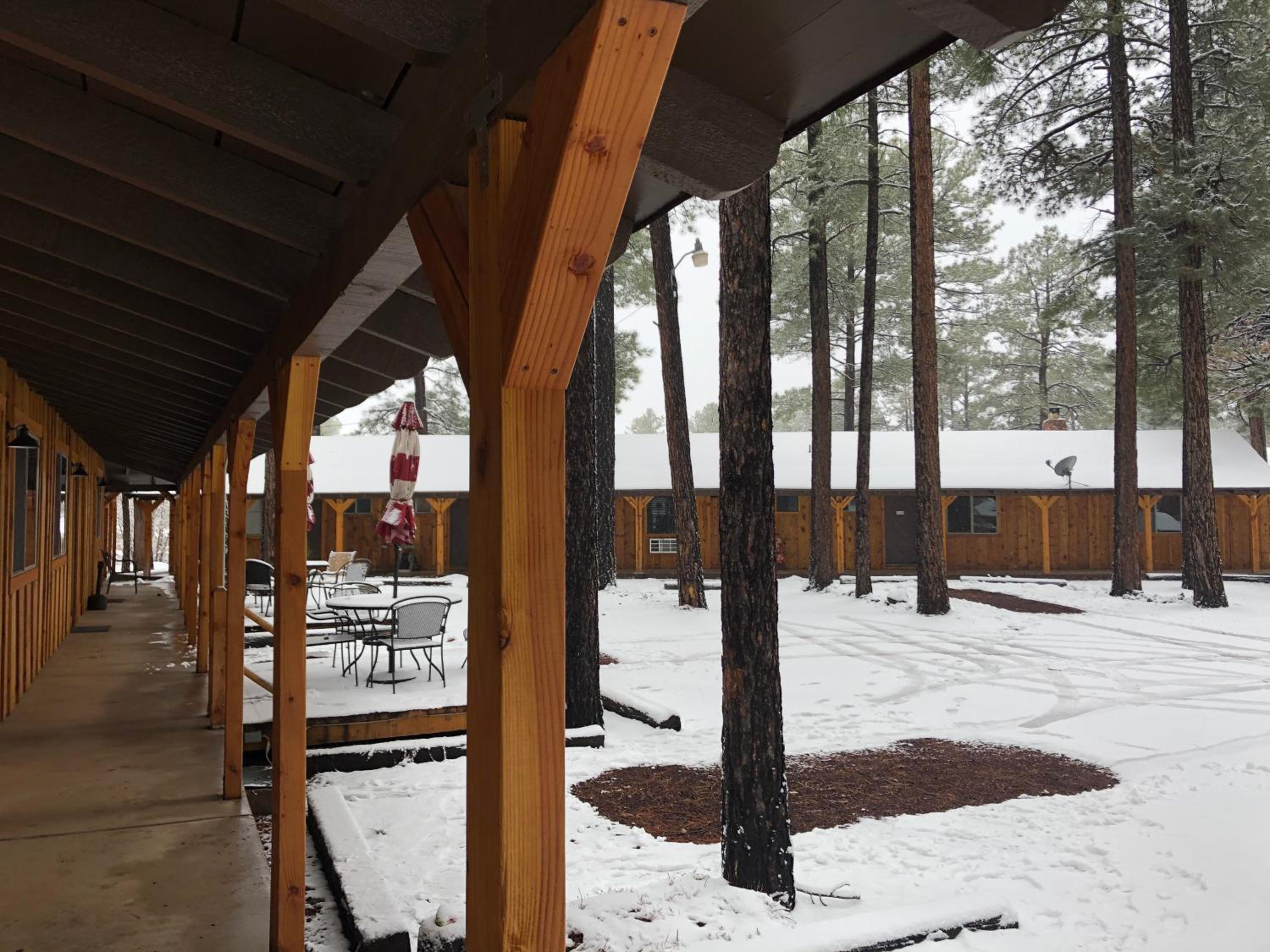 TimberLodge Inn - Property Image 4