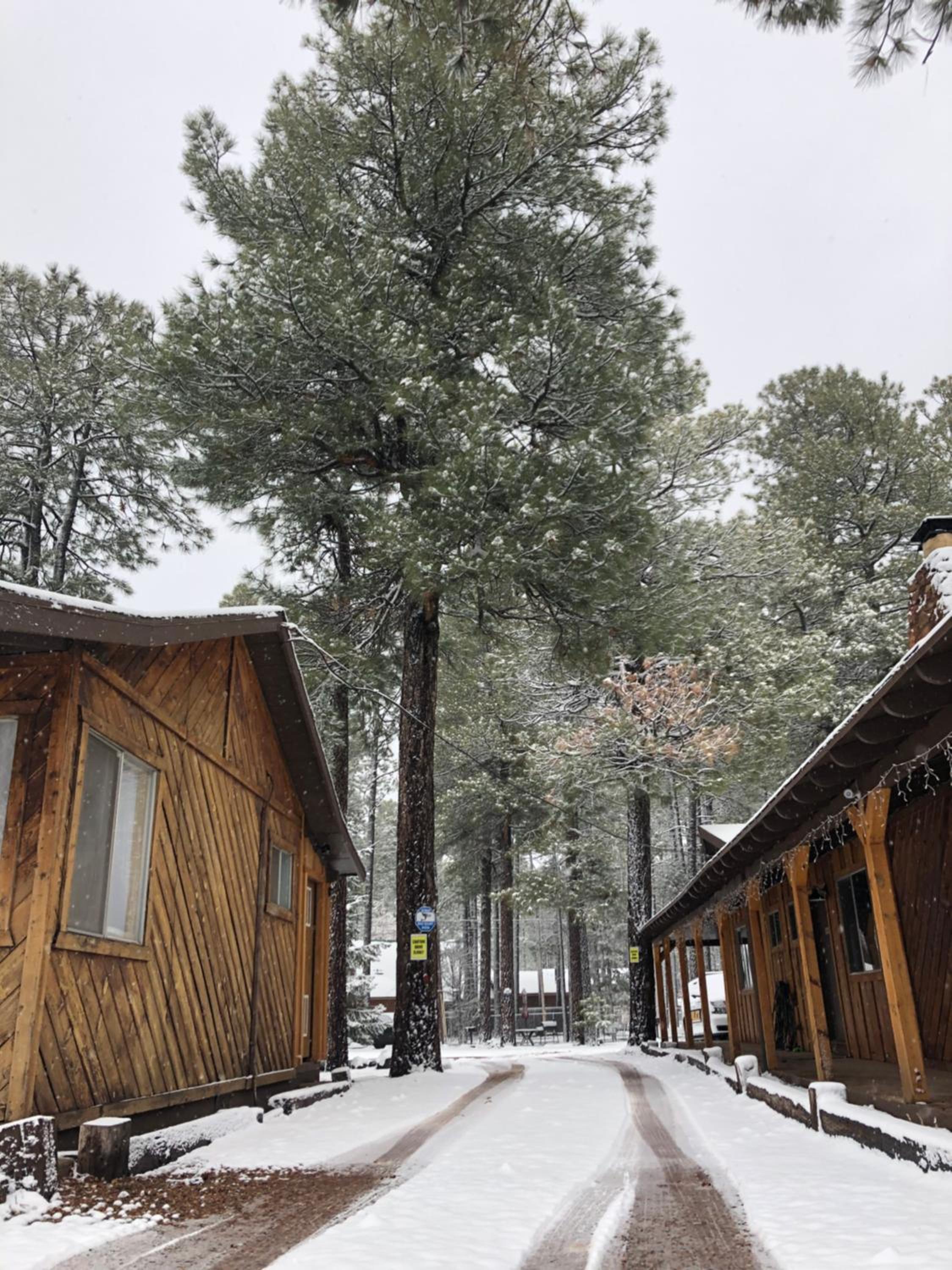 TimberLodge Inn