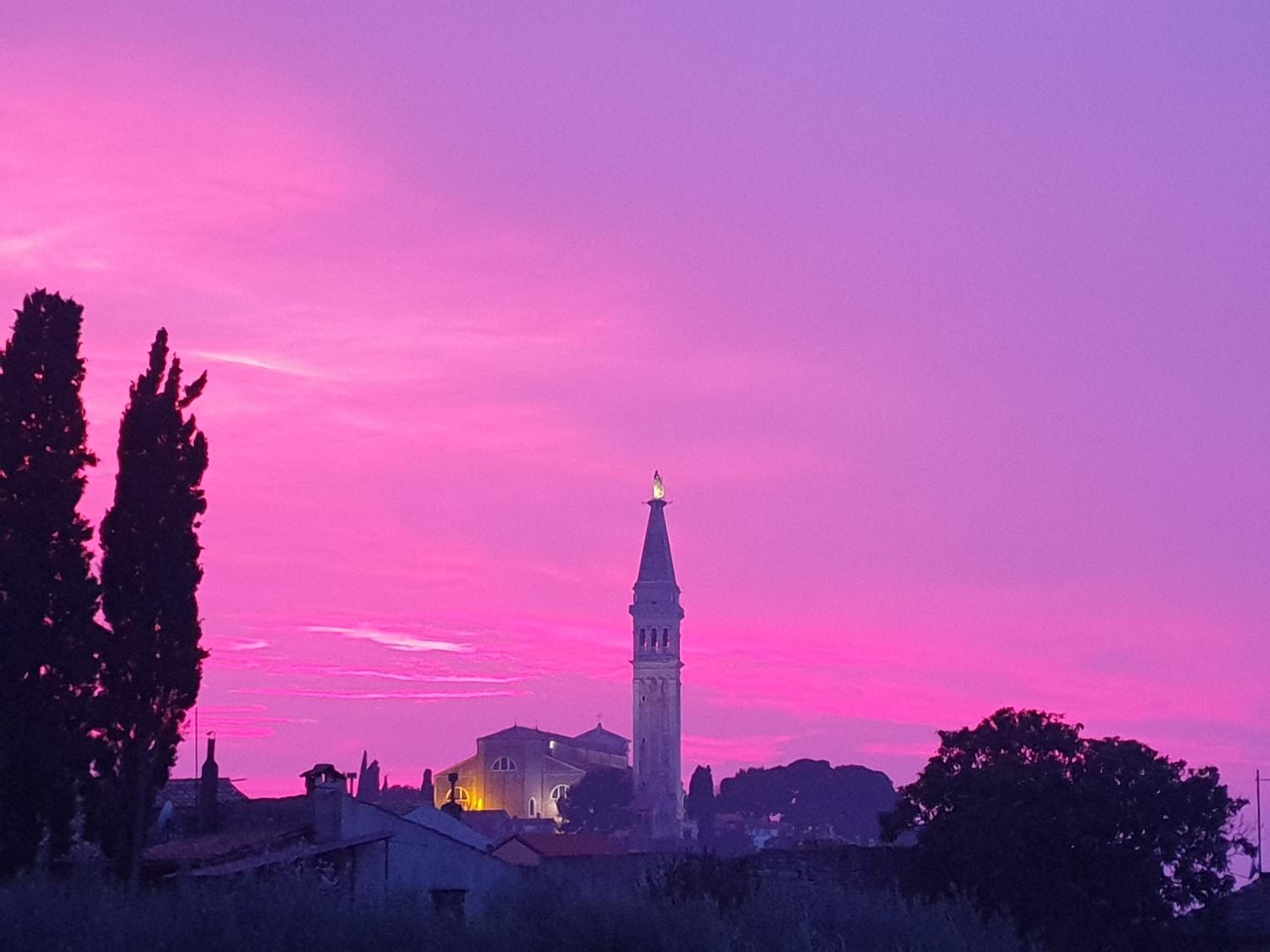 Hotel Studio Yellow Flower - Image 1