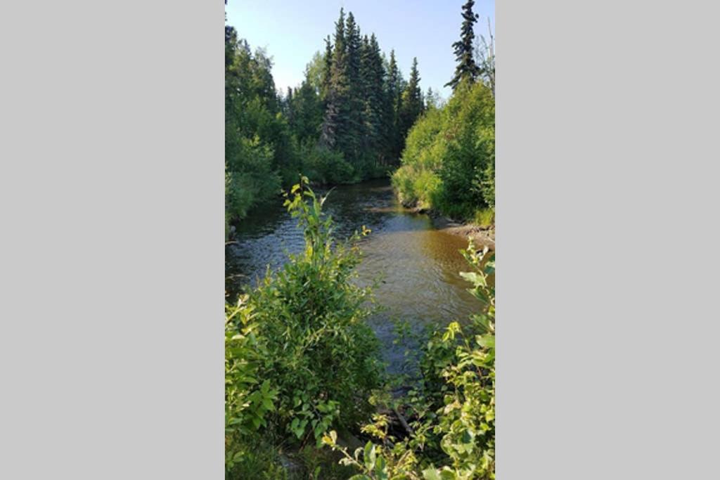 The Moose Crossing view 5