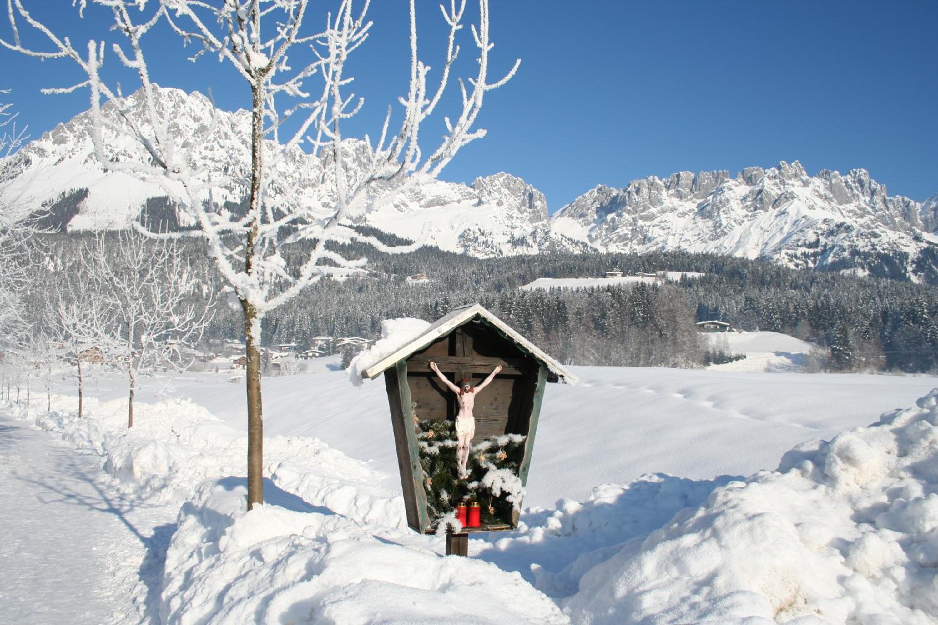 Schnapperhof