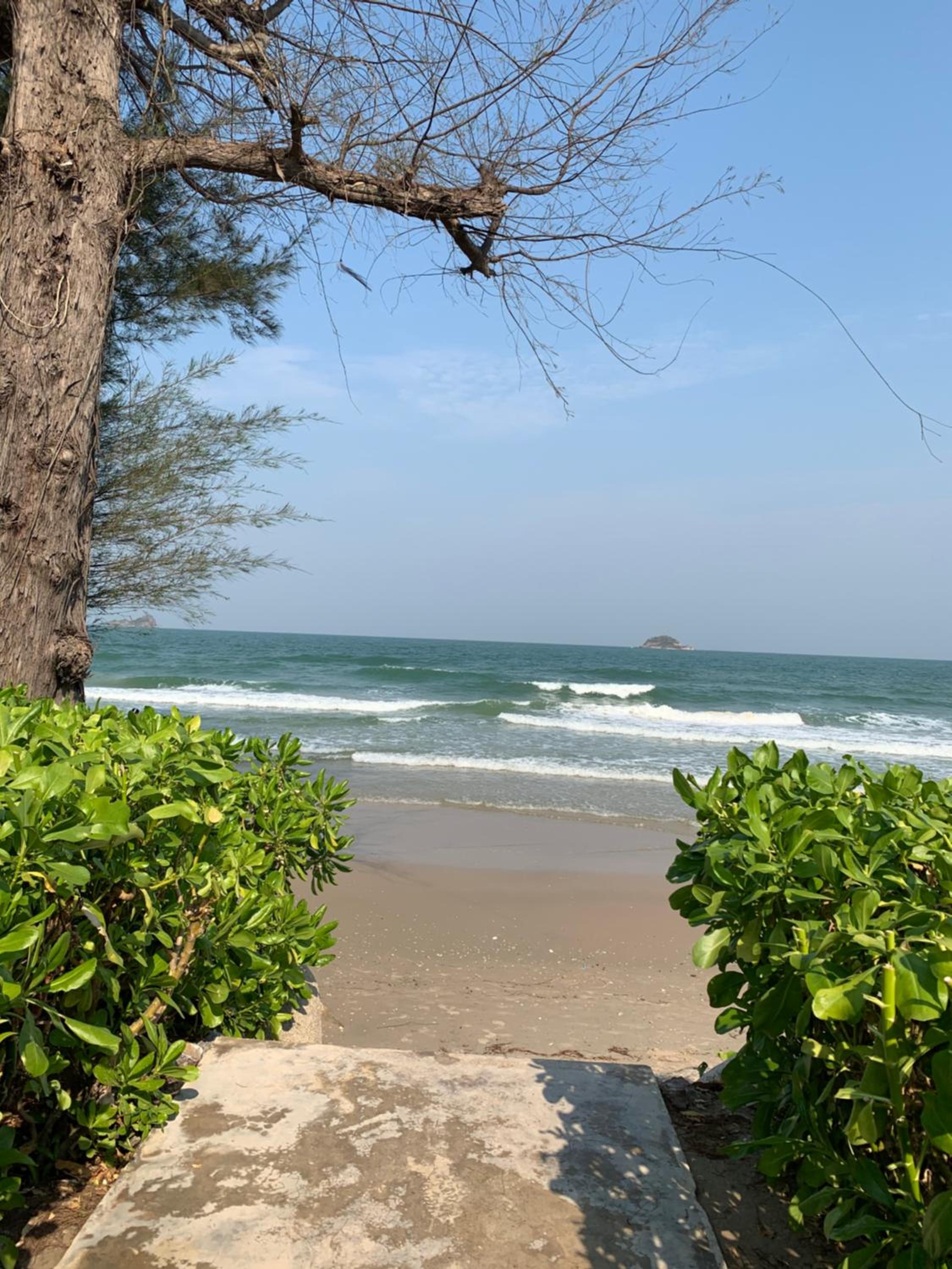 Mexican Beachfront Condo view 4