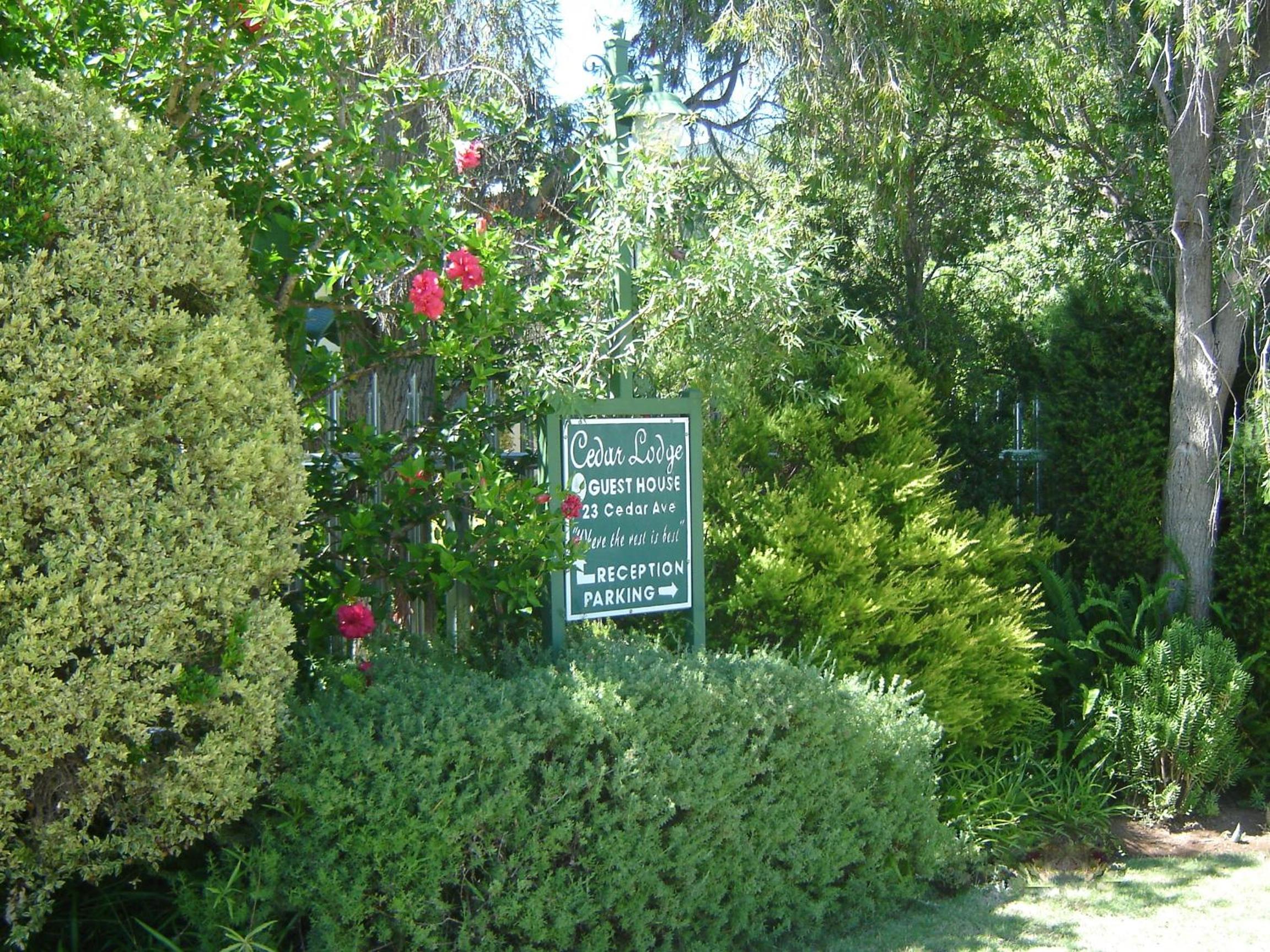 Photo 6