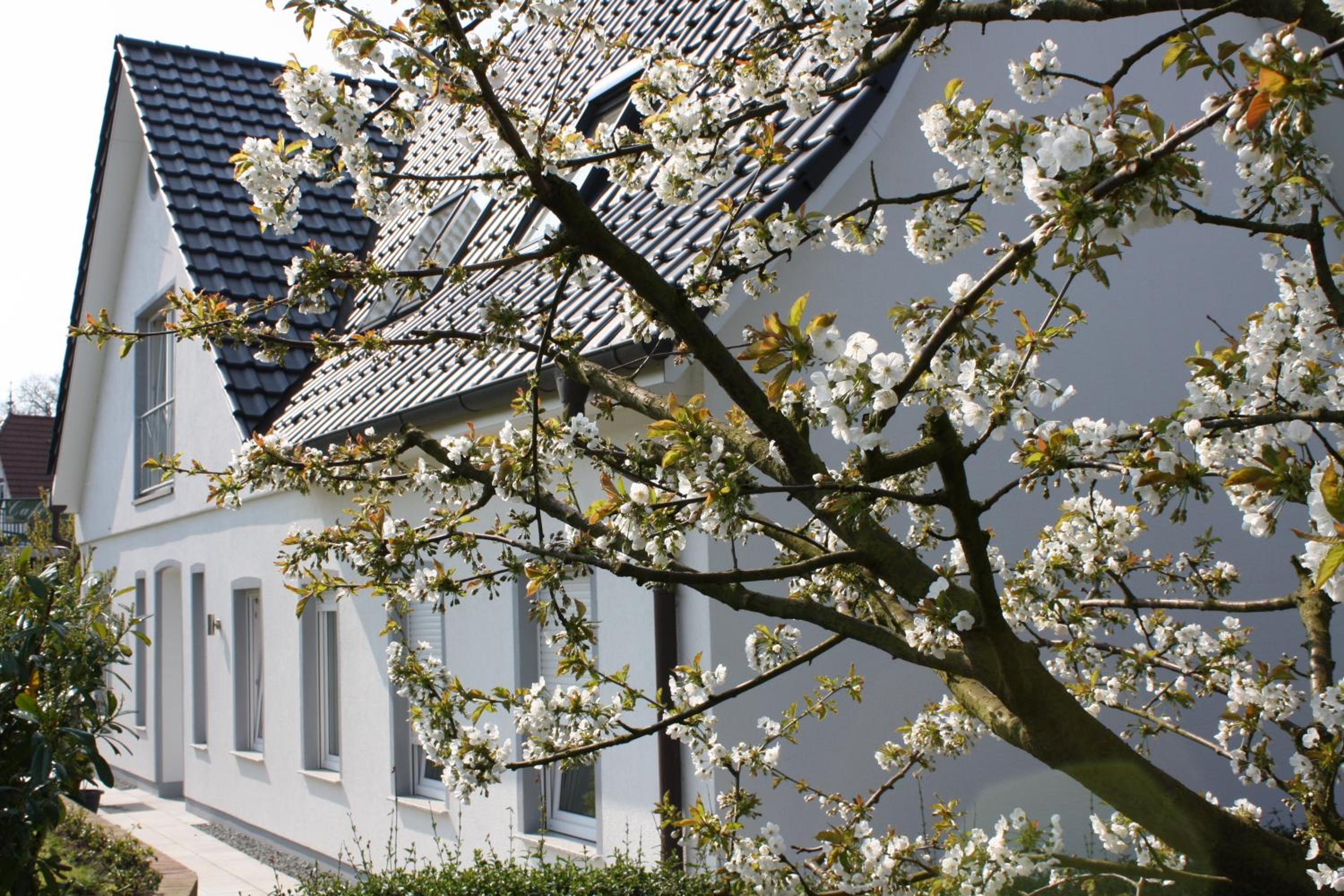 Fewo Elbblick im Haus Lühegarten