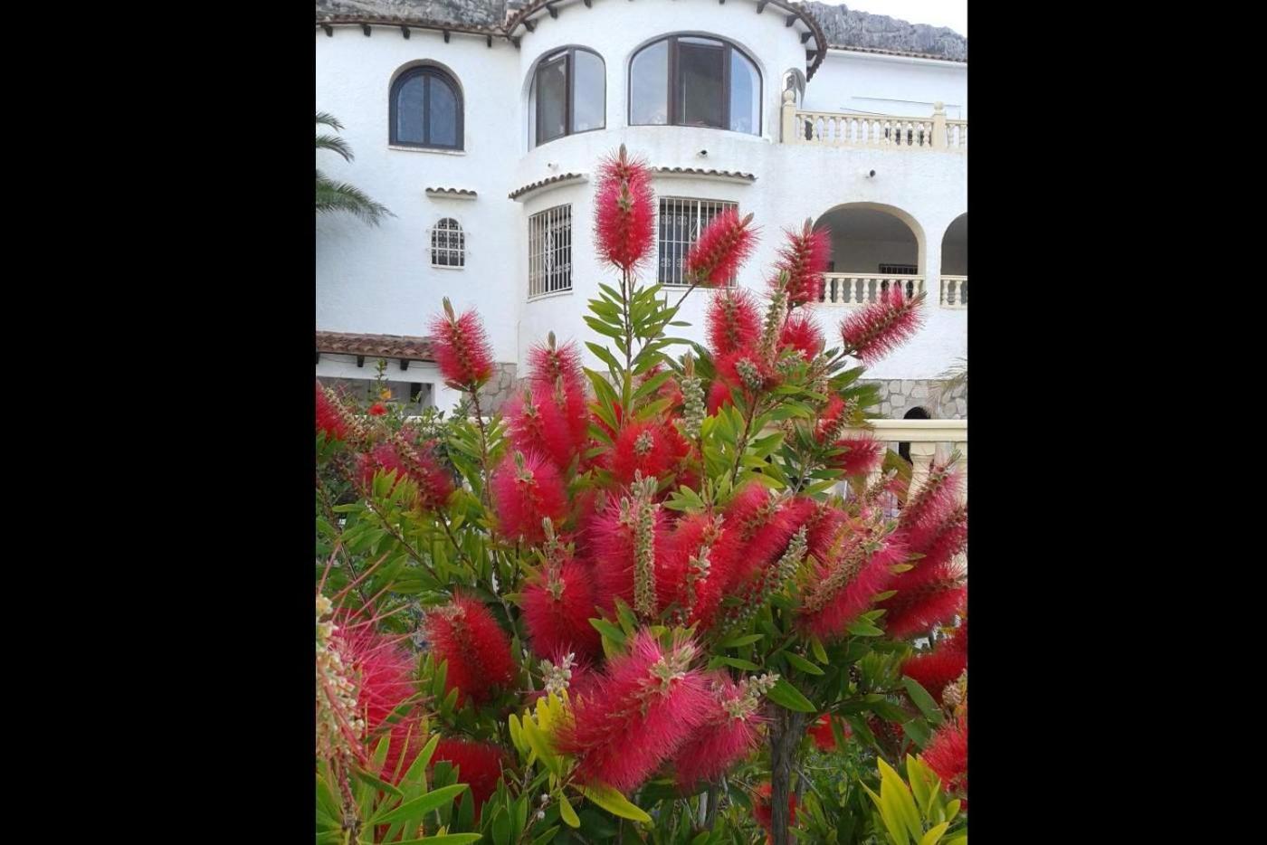 Casa Sonia