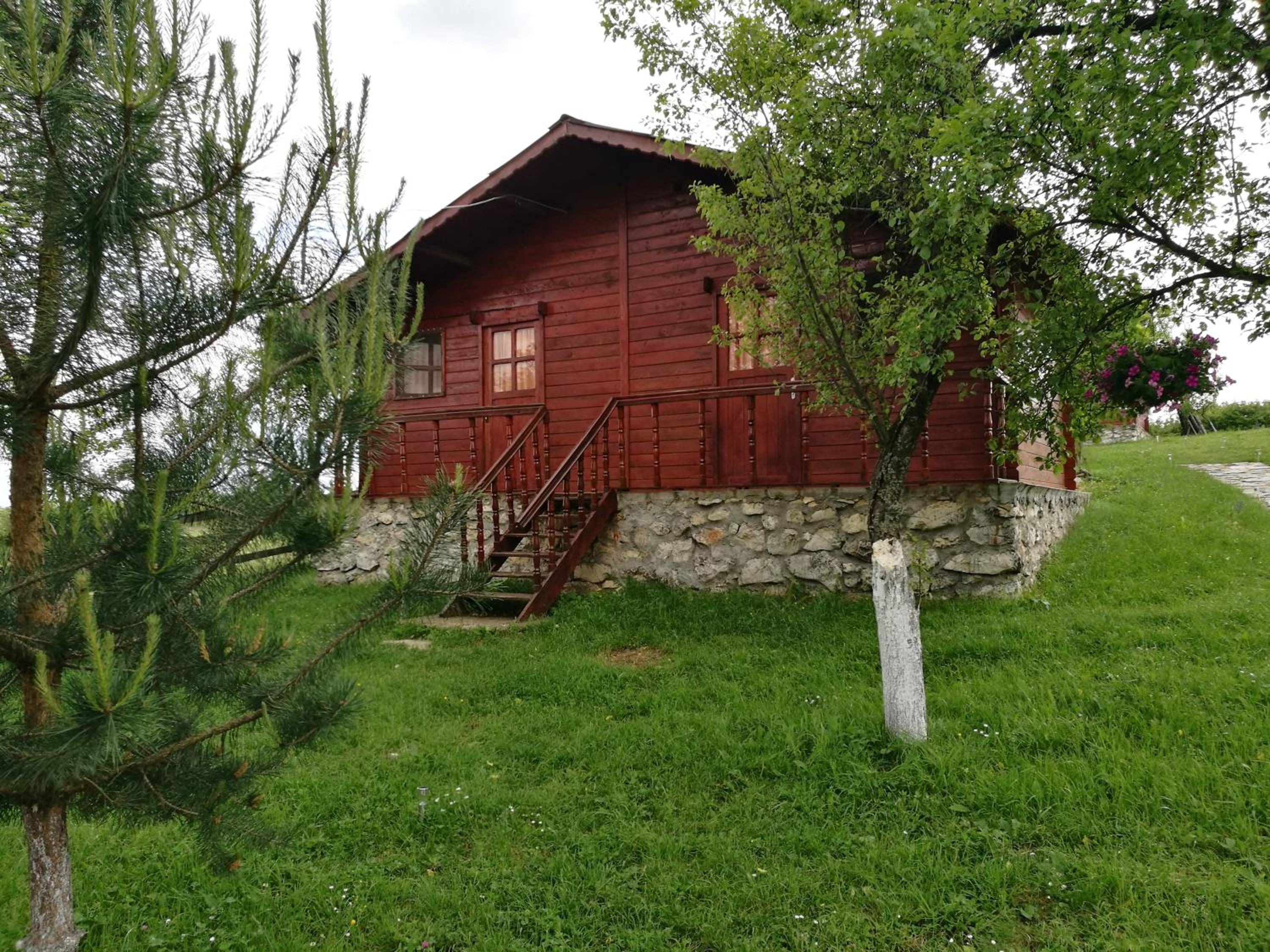 Pensiunea Gernik 100 view 5