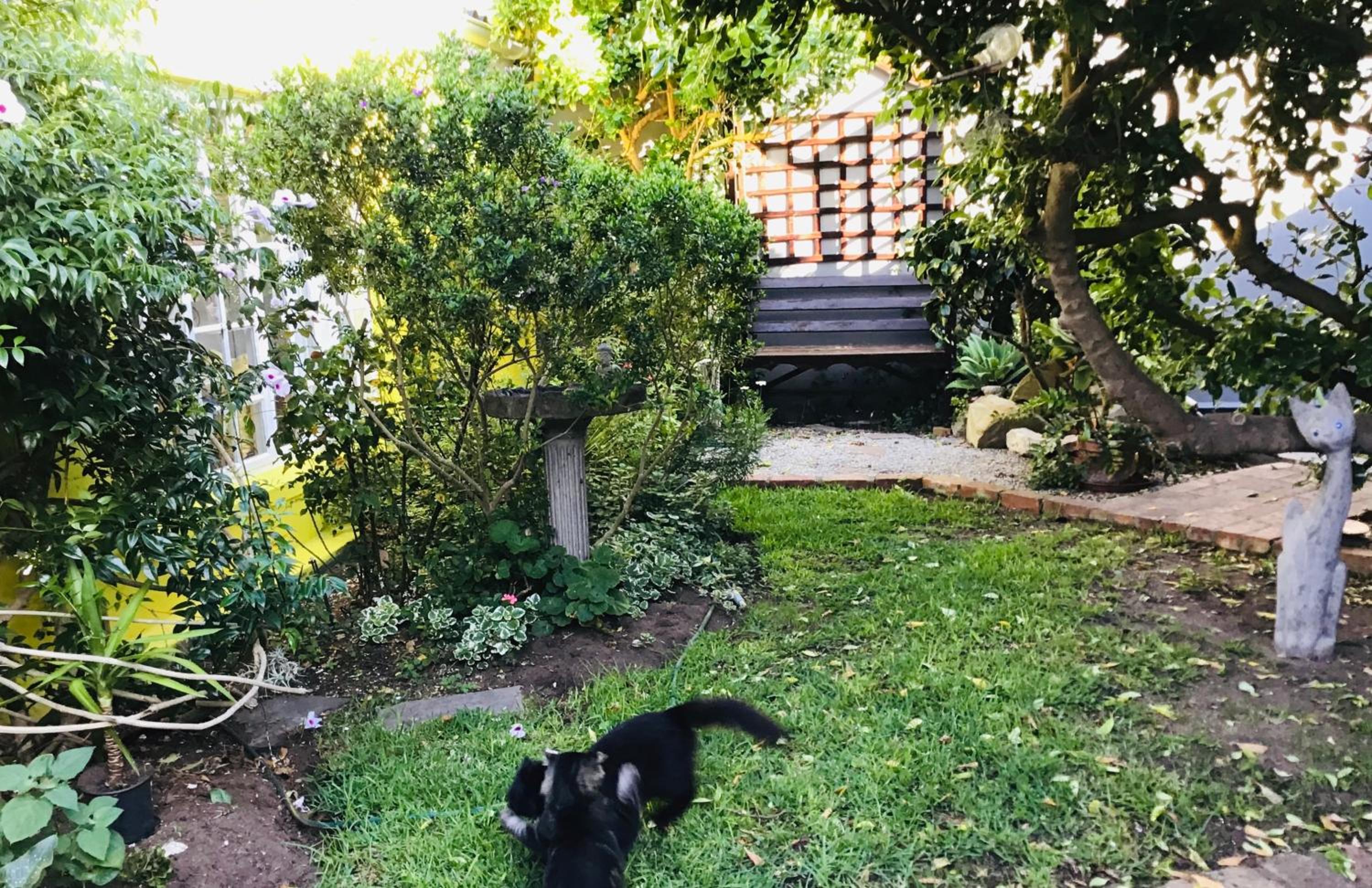 Funky cottage — photo 30