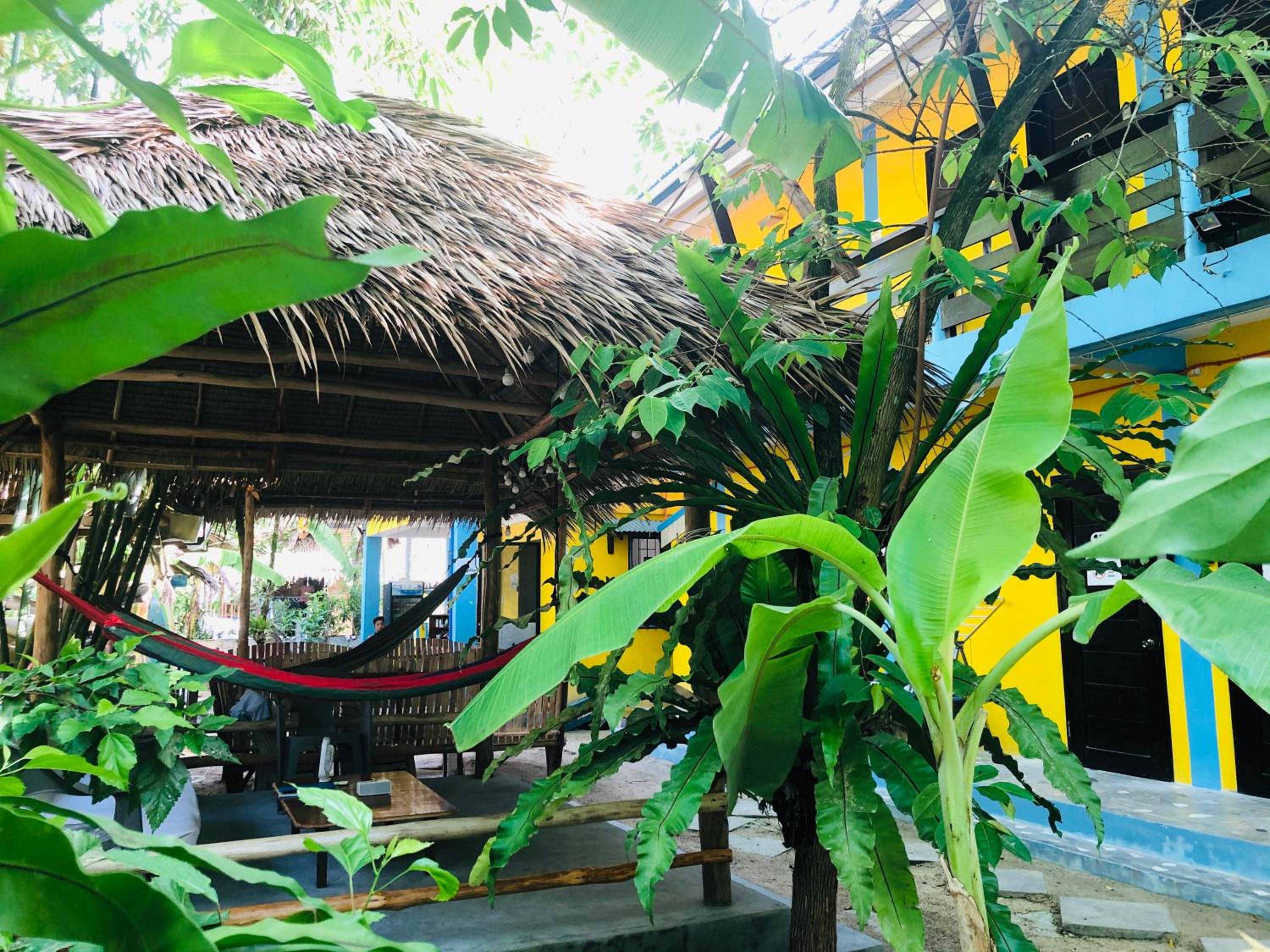 ShareGao view 5