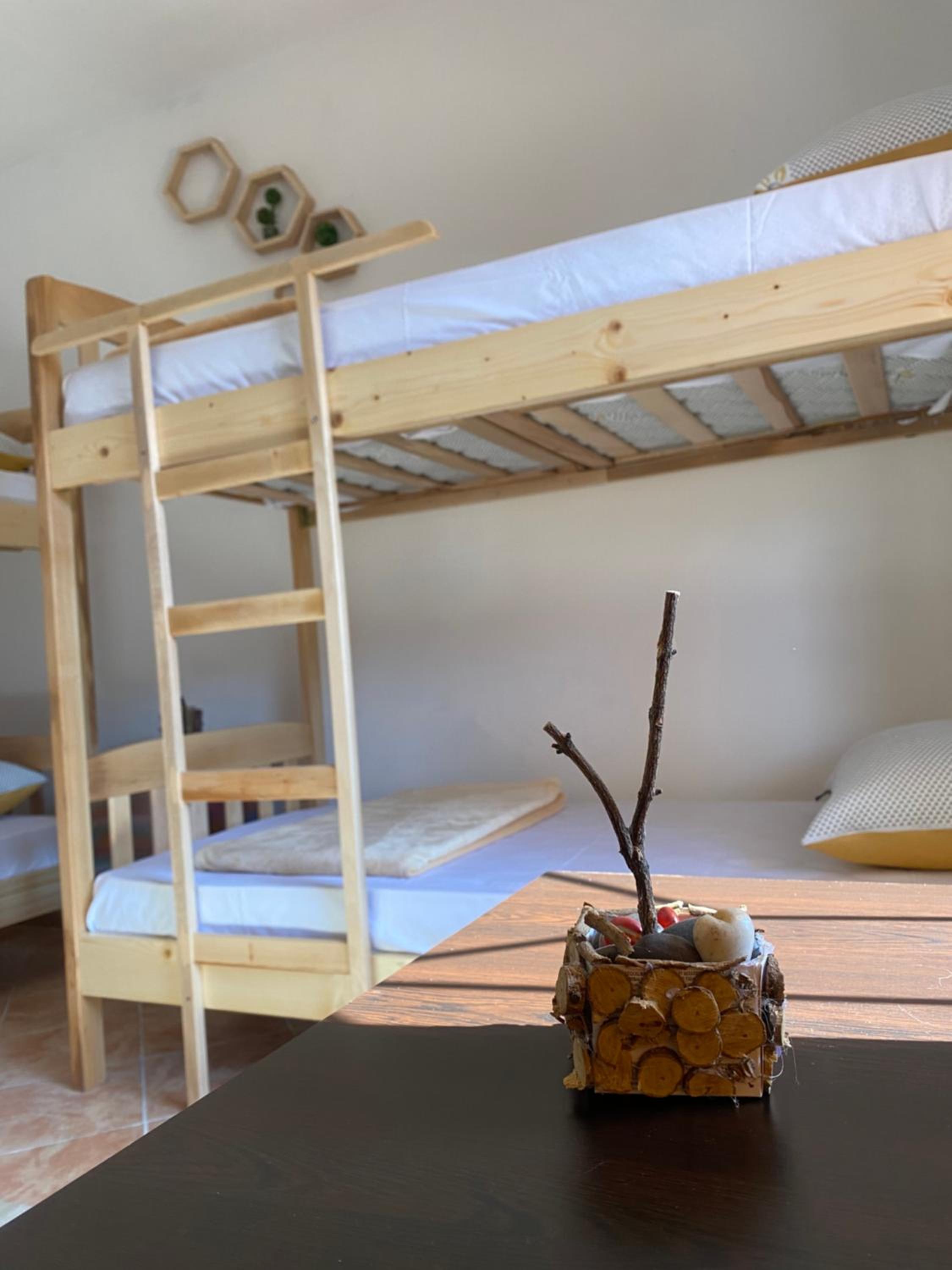 The Hood Hostel & Day Tours