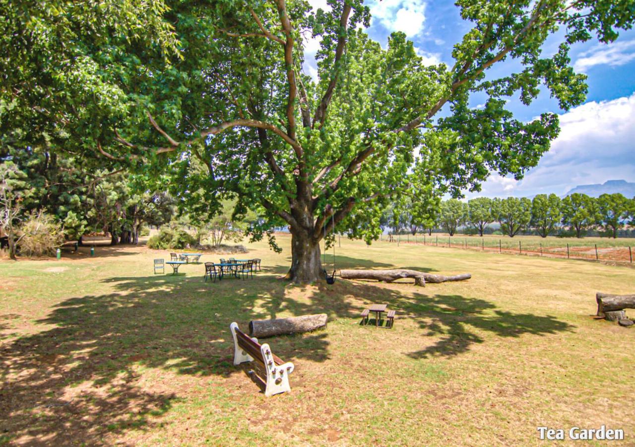 Ardmore Guest Farm