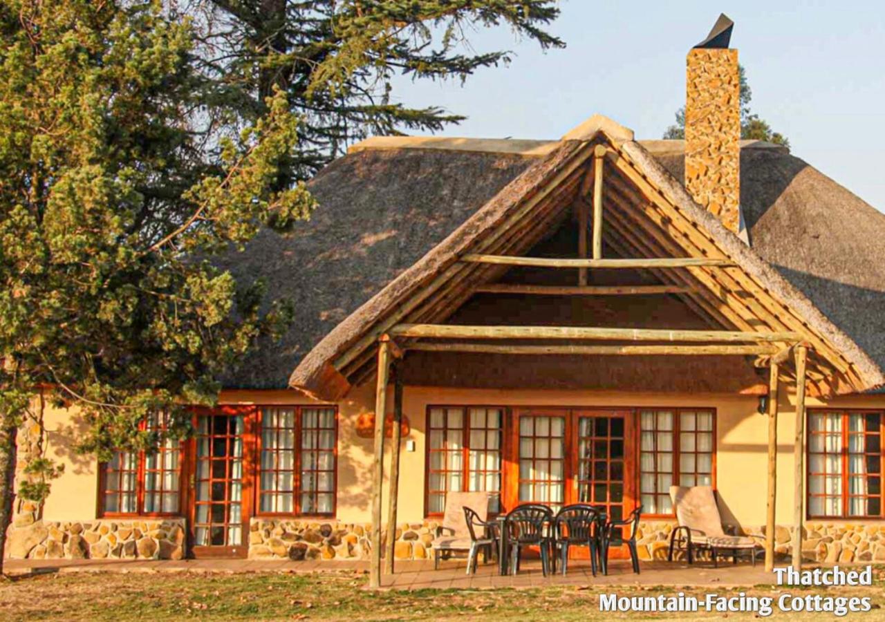 Ardmore Guest Farm