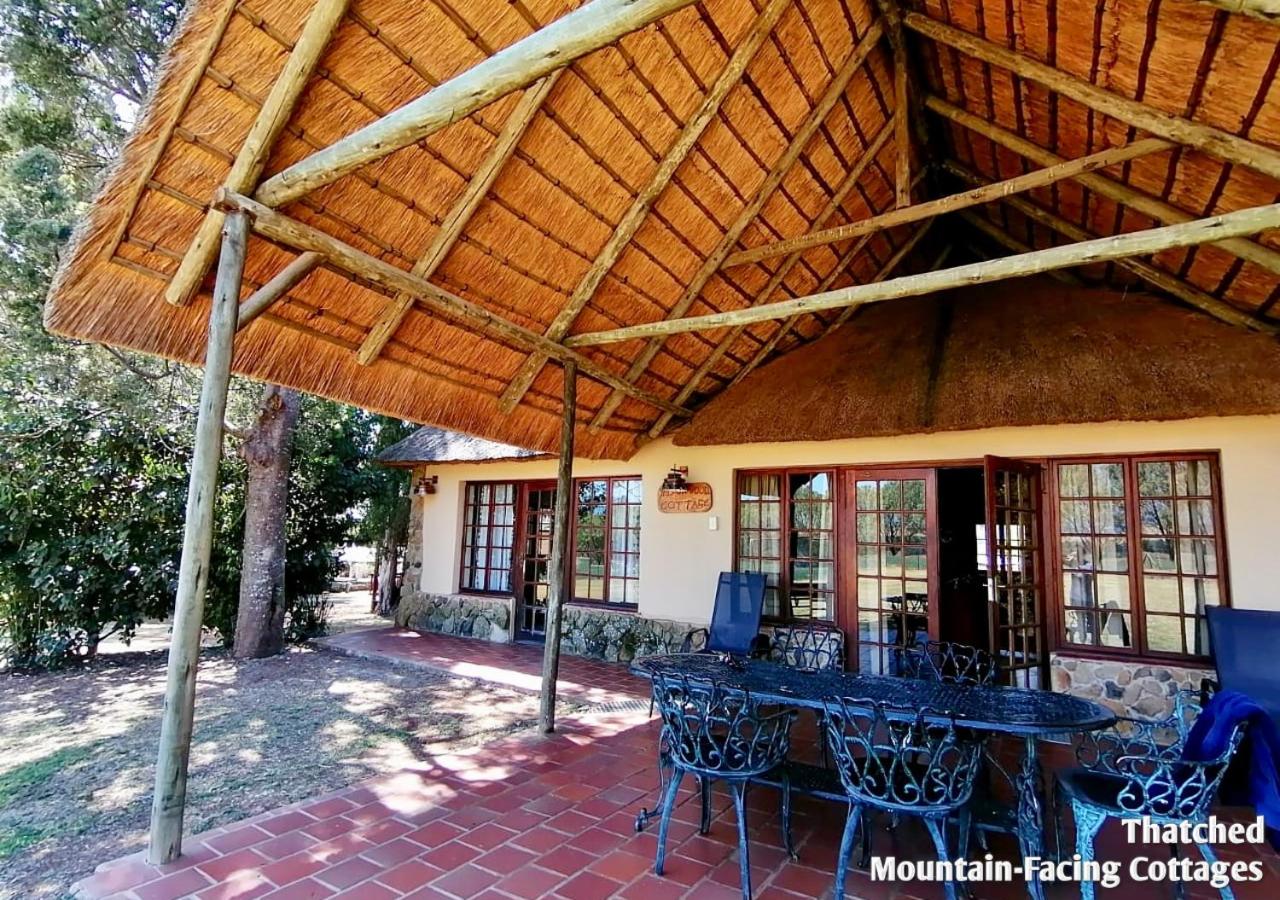 Ardmore Guest Farm