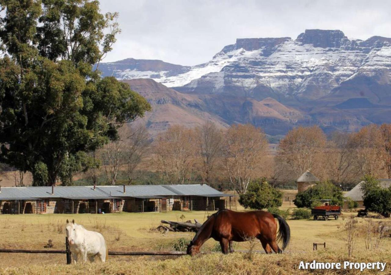 Ardmore Guest Farm