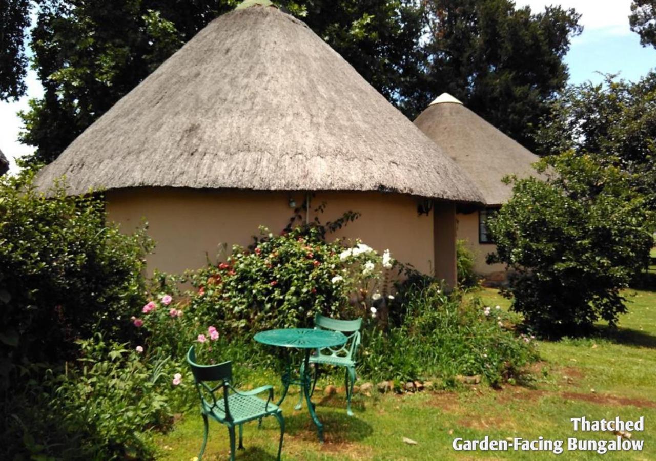 Ardmore Guest Farm