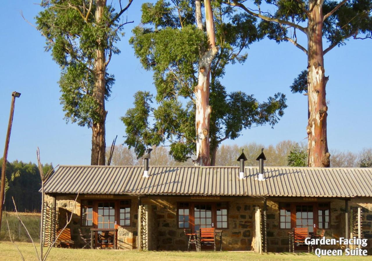 Ardmore Guest Farm